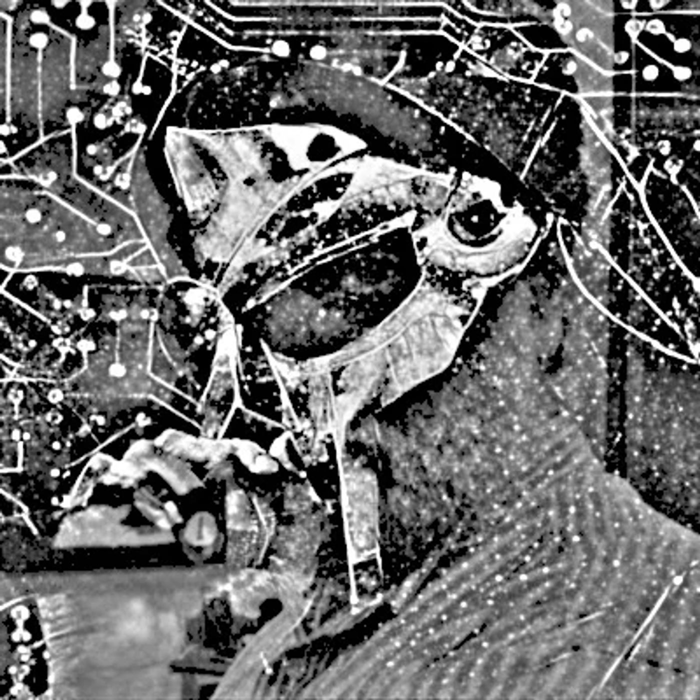 The Dark Room: Weird Studies’ Phil Ford Talks MF DOOM