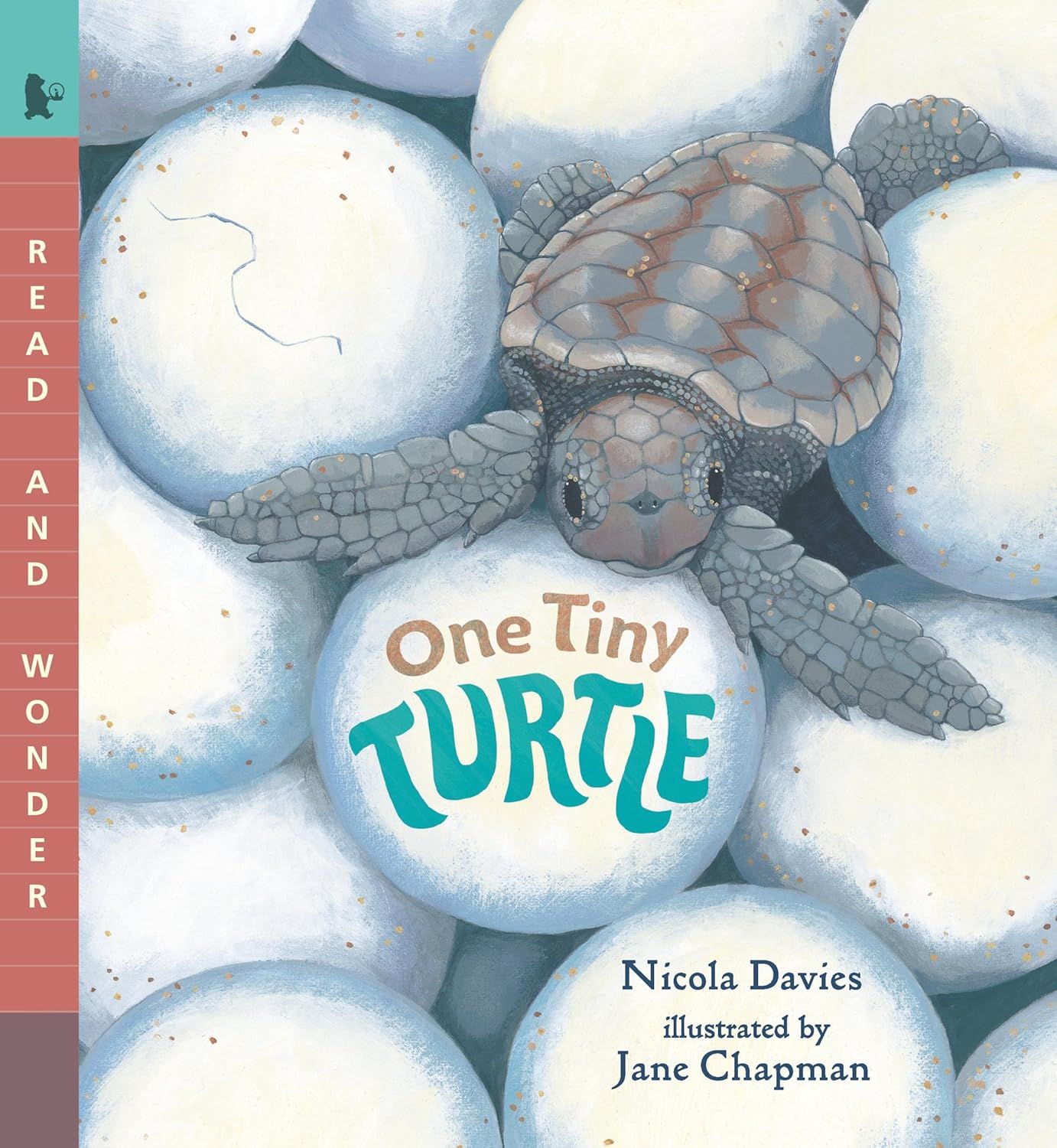 One Tiny Turtle Read and Wonder