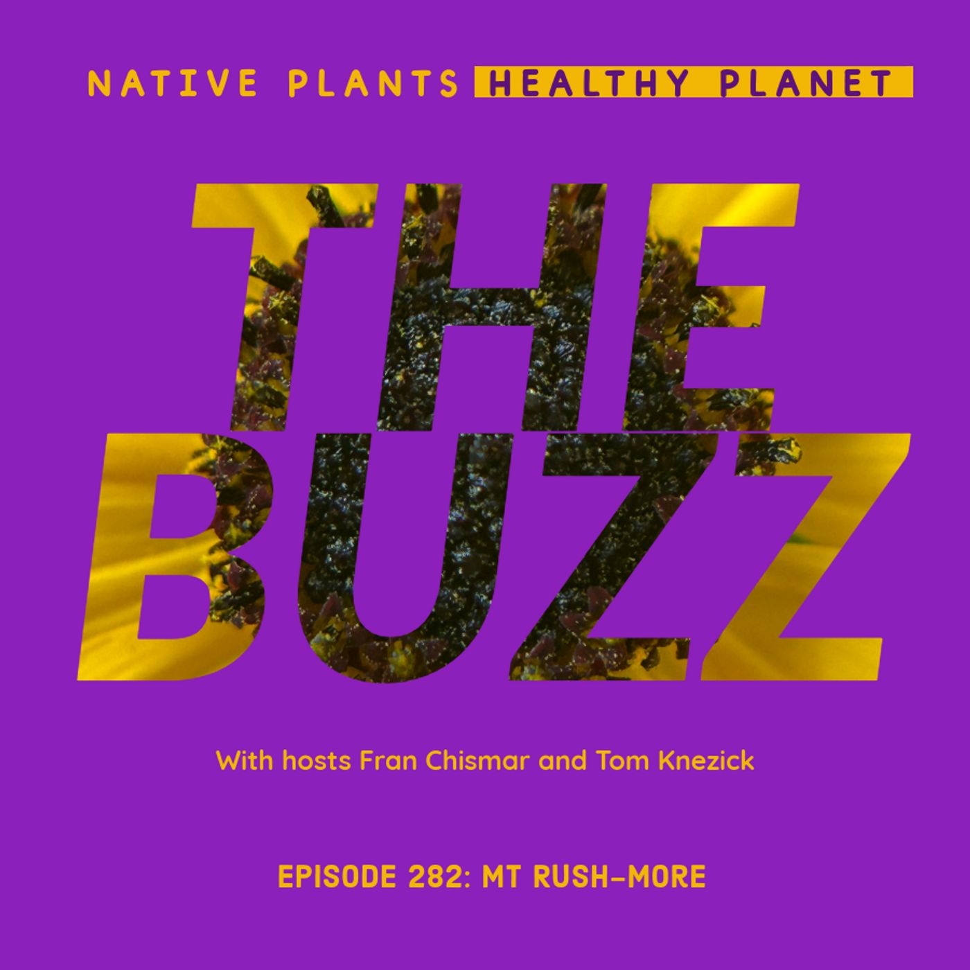The Buzz - Mt Rush-More