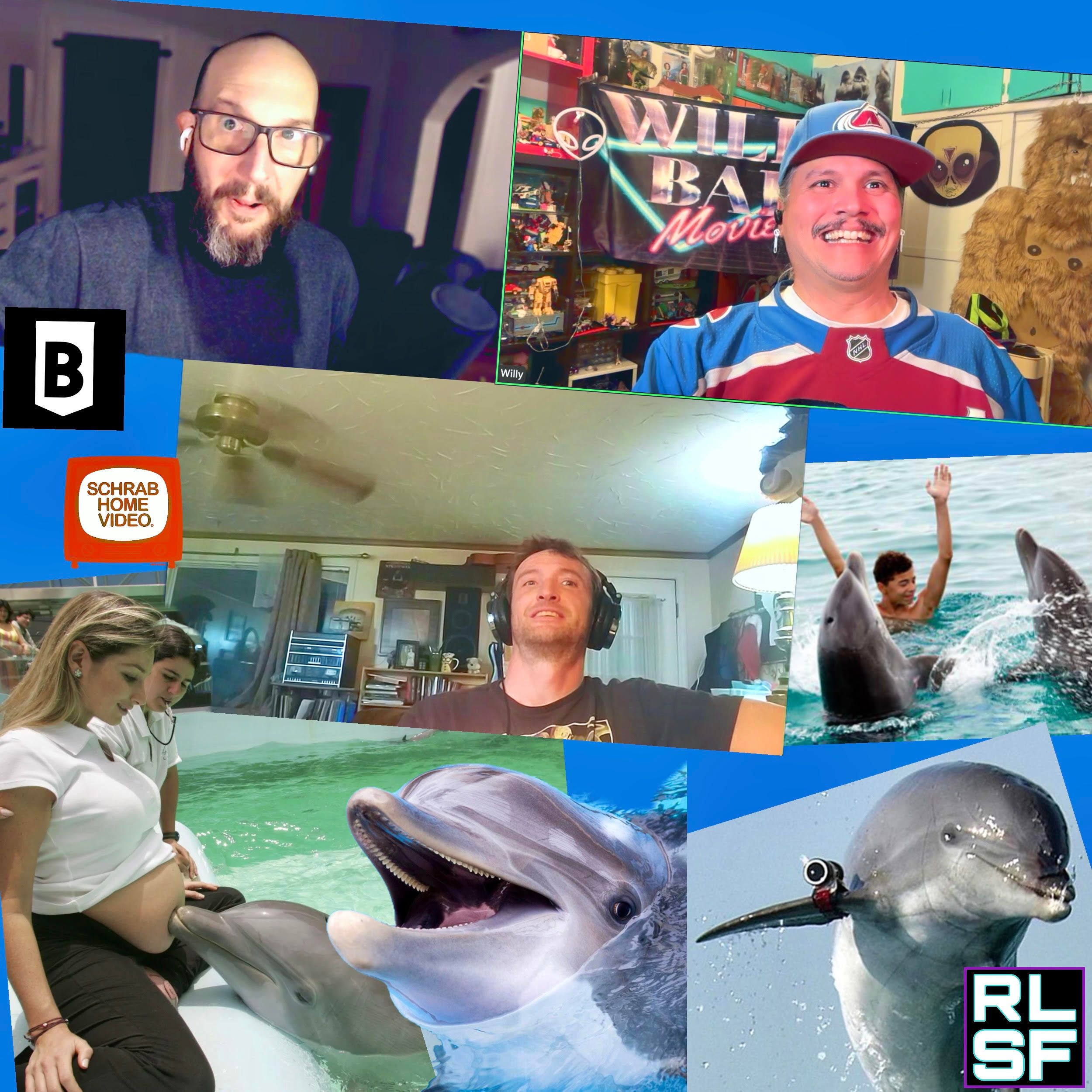 The Dolphin Connection with Derek | 558 — Real Life Sci-Fi cover