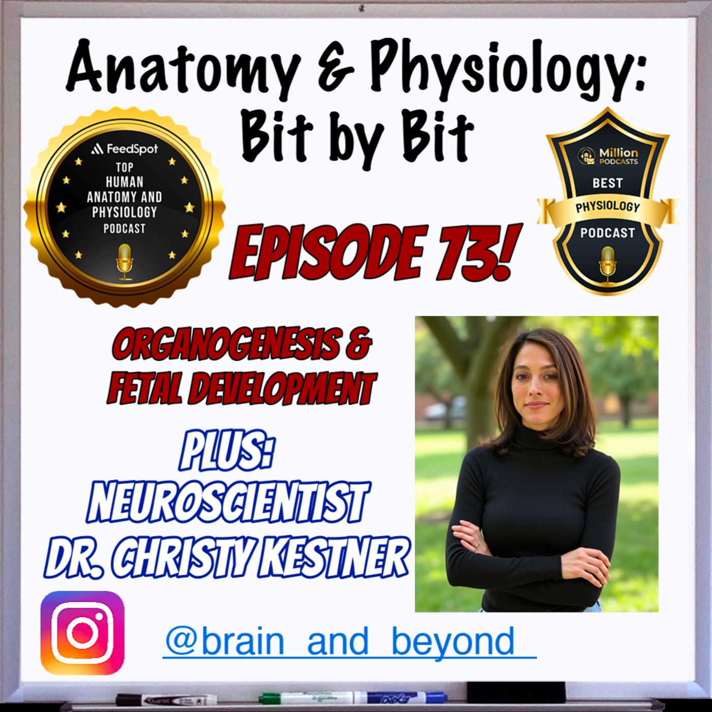 Organogenesis and Fetal Development - Dr. Christy Kestner - Episode 73