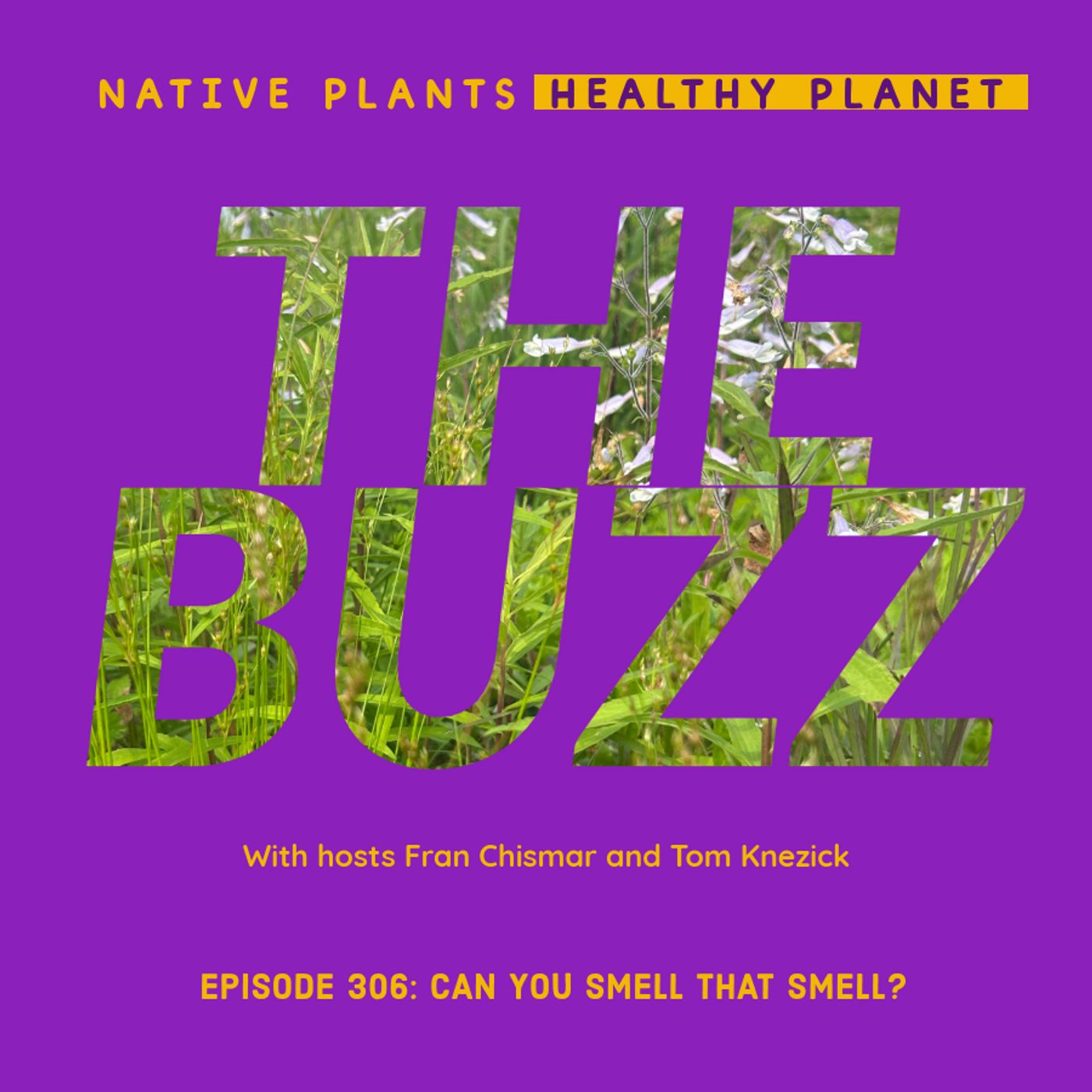 The Buzz - Can You Smell That Smell?