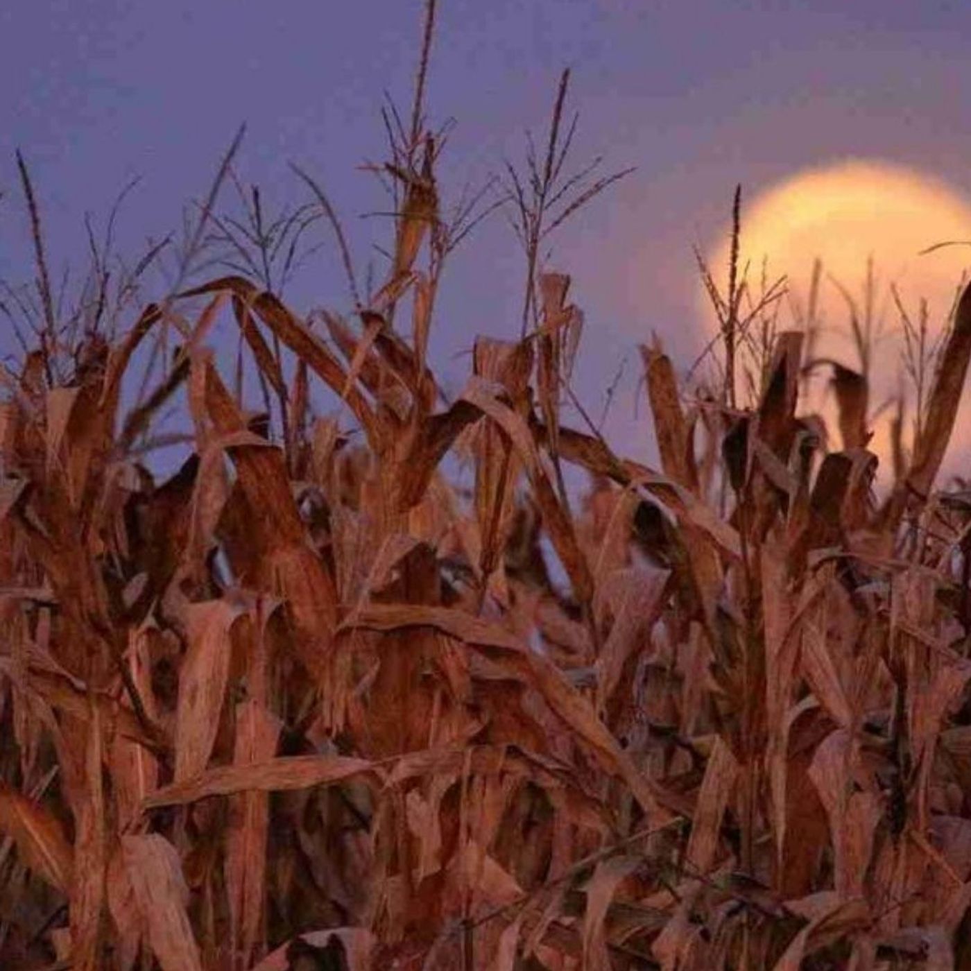The Sturgeon Moon