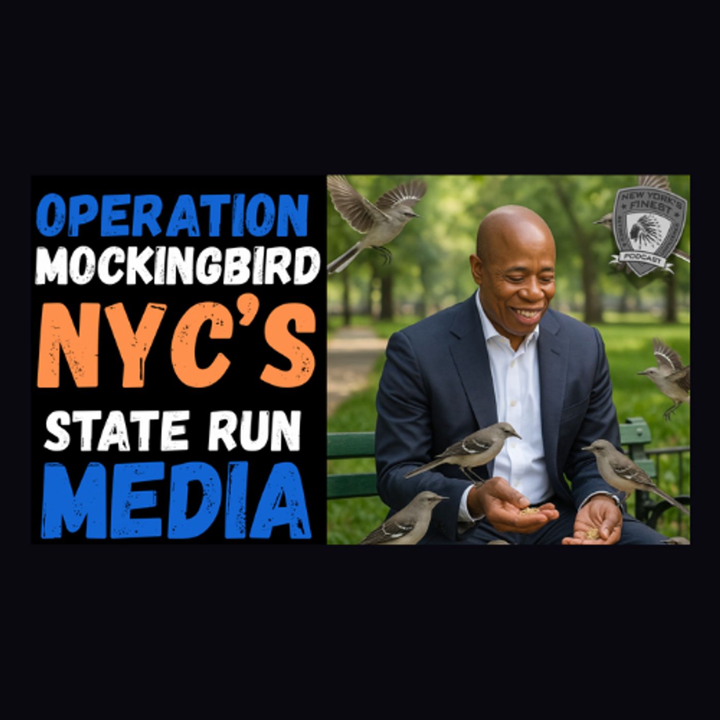 How the NYPD Controls The Public's Perception