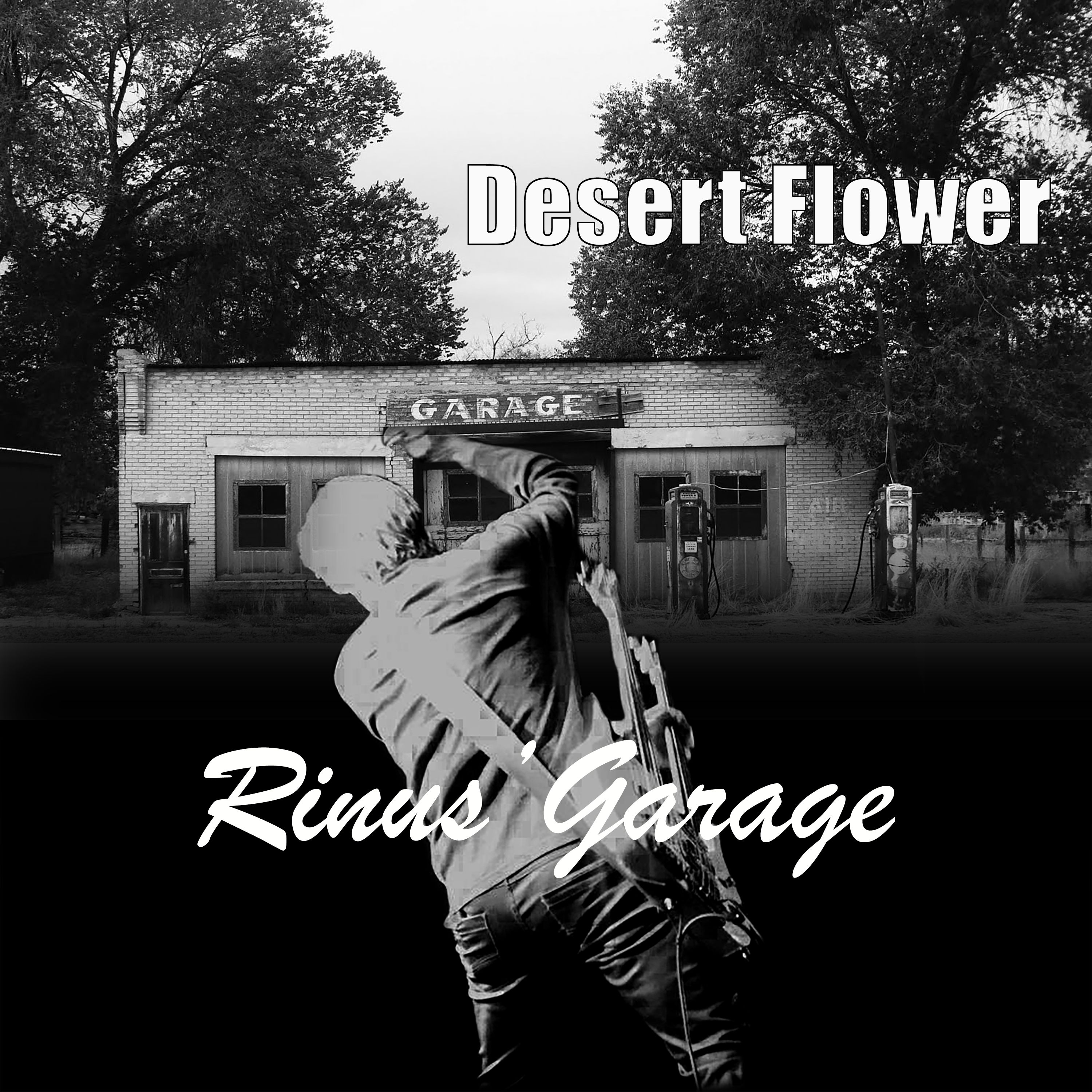 Podcast: Rinus en Natousch Gerritsen in gesprek met Martin Kuiper over 'Desert Flower'