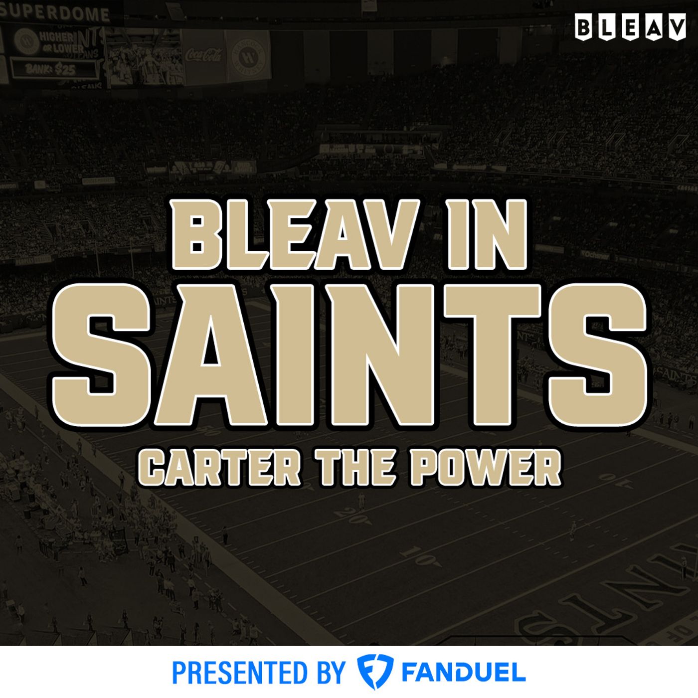 Bleav in Saints