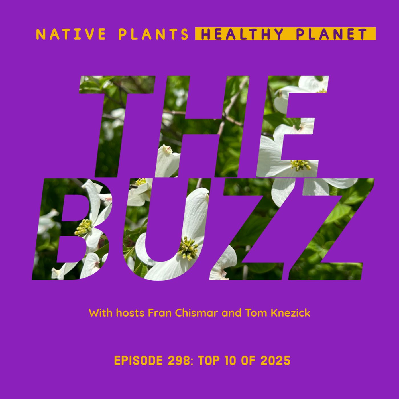 The Buzz - Top 10 of 2025