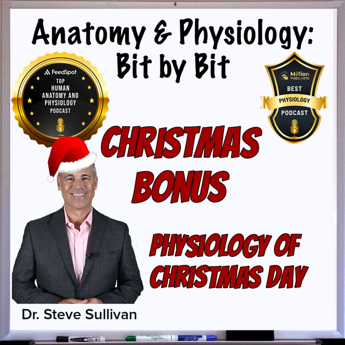 Christmas Bonus - The Physiology of Christmas Day!