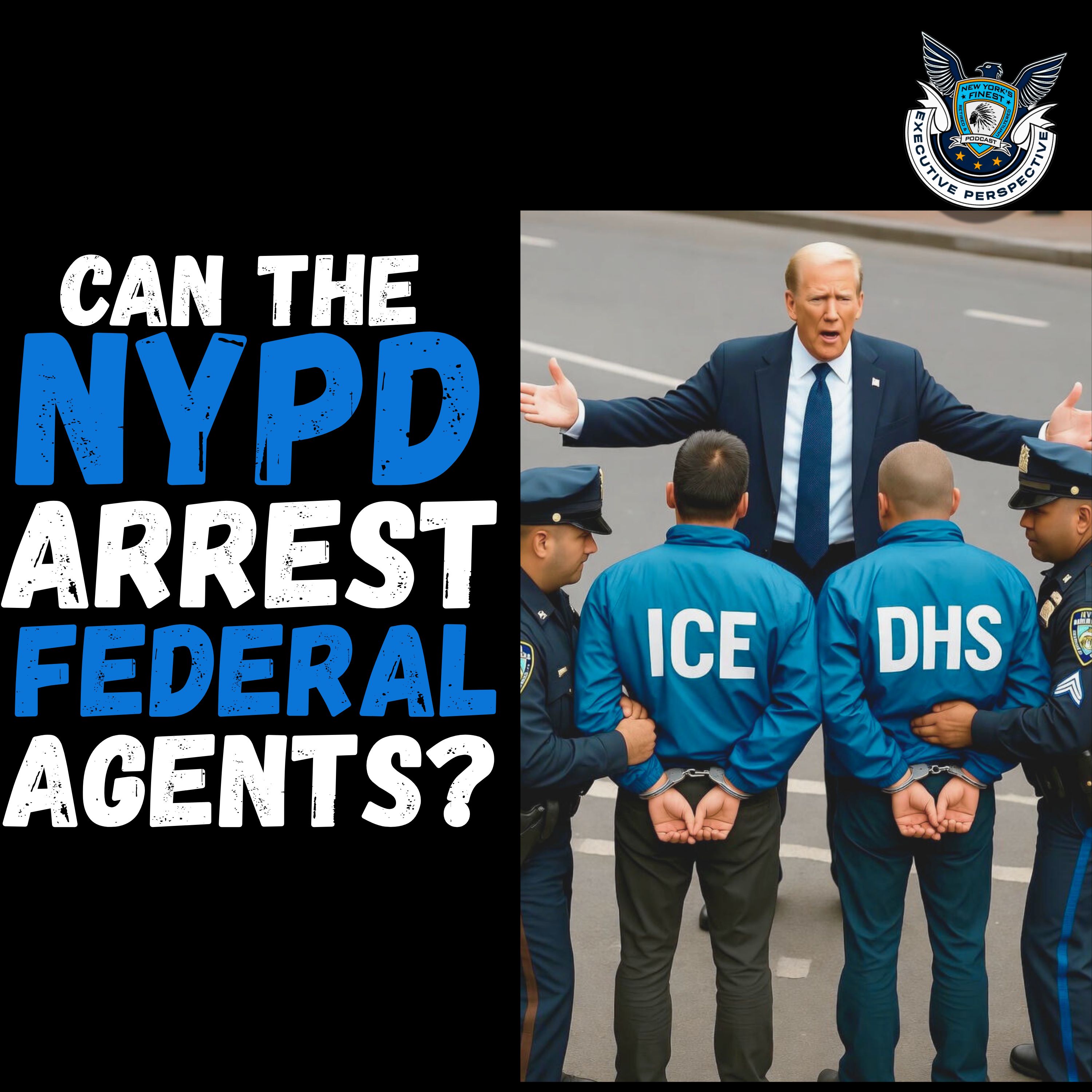 Can the NYPD arrest federal agents doing their sworn duties if it violates “local laws”? episode artwork