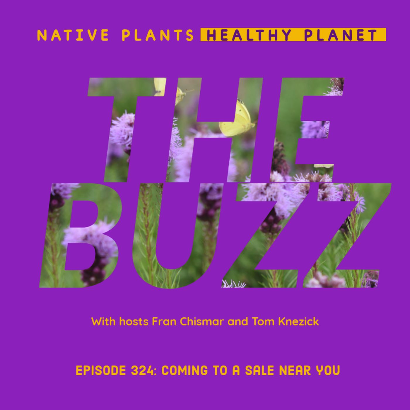 The Buzz - Coming to a Sale Near You