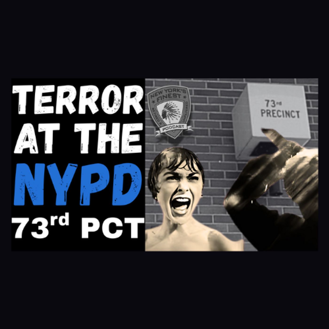 Early Morning Domestic Terror Attack On the NYPD's 73rd Precinct Precinct episode artwork