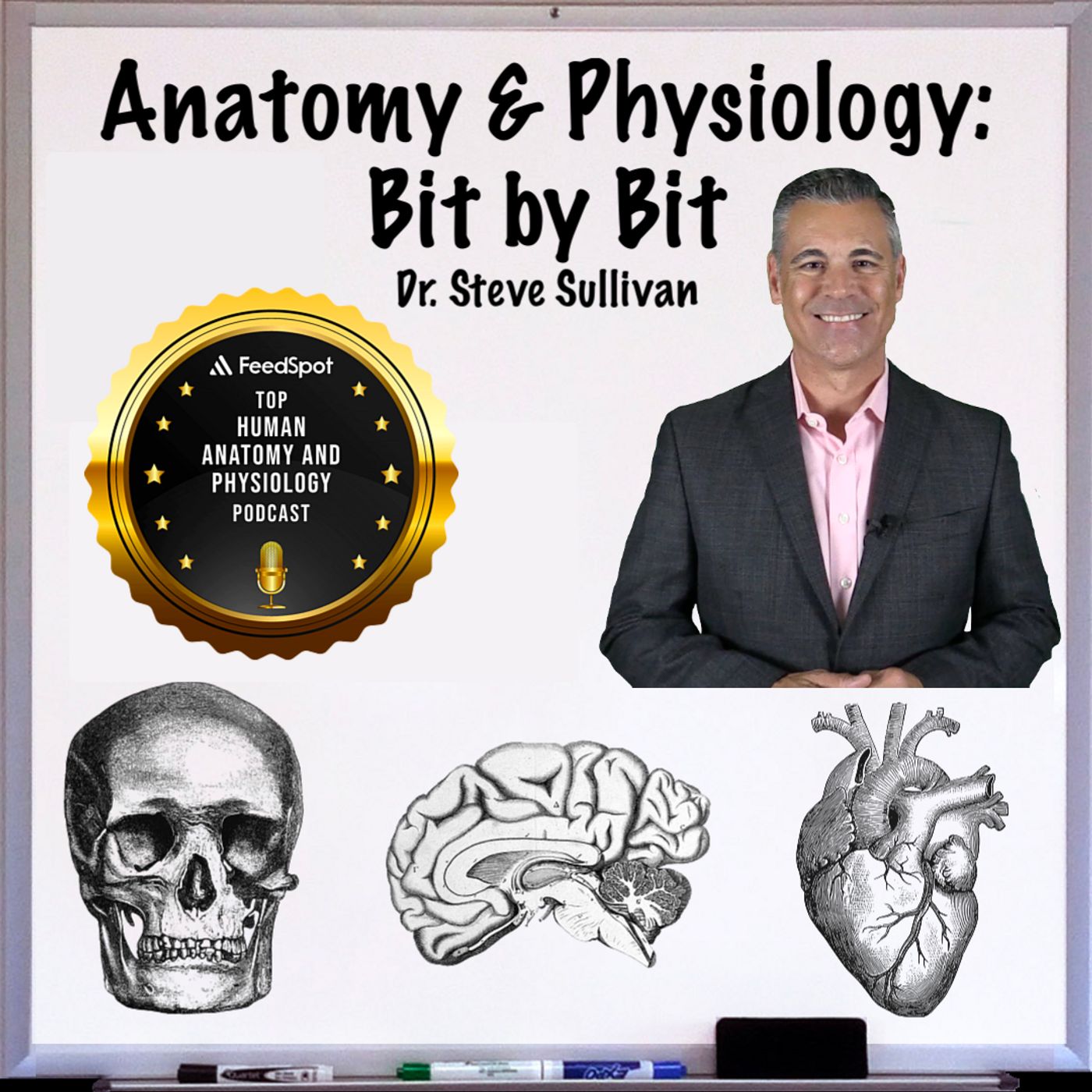 REBOOT: Integumentary System: Part 1 (Anatomy of Skin) - Episode 9