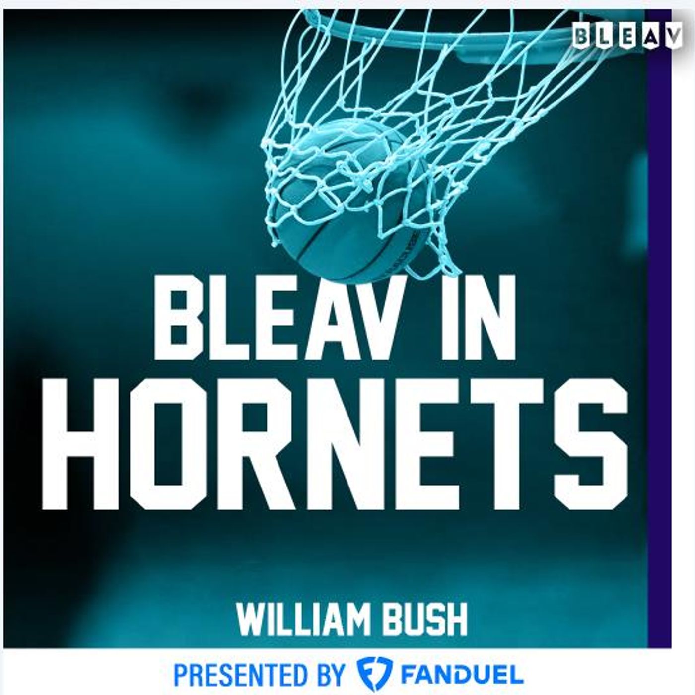 HORNETS TOP OFFSEASON ADDITIONS! What young STAR is on the RISE this NBA Season? HORNETS TOP OFFSEASON ADDITIONS! What young STAR is on the RISE this NBA Season?