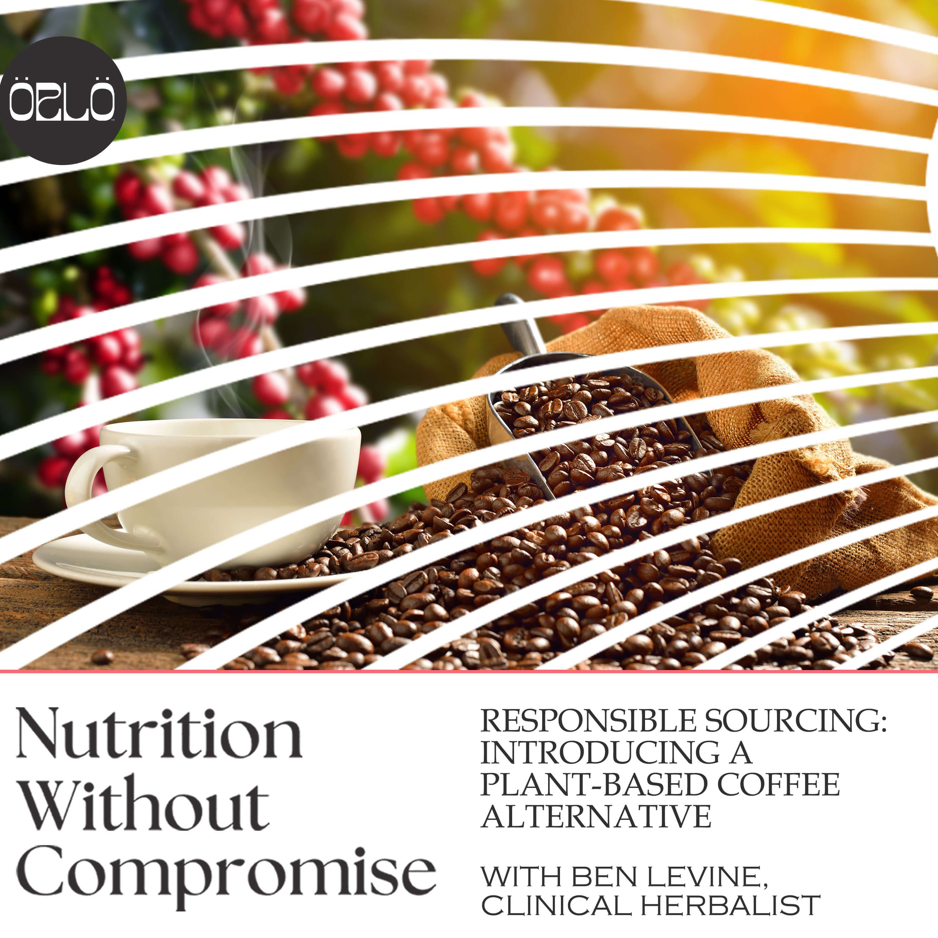 Responsible Sourcing & Plant-Based Energy: A New Brew With Ben Levine of Rasa