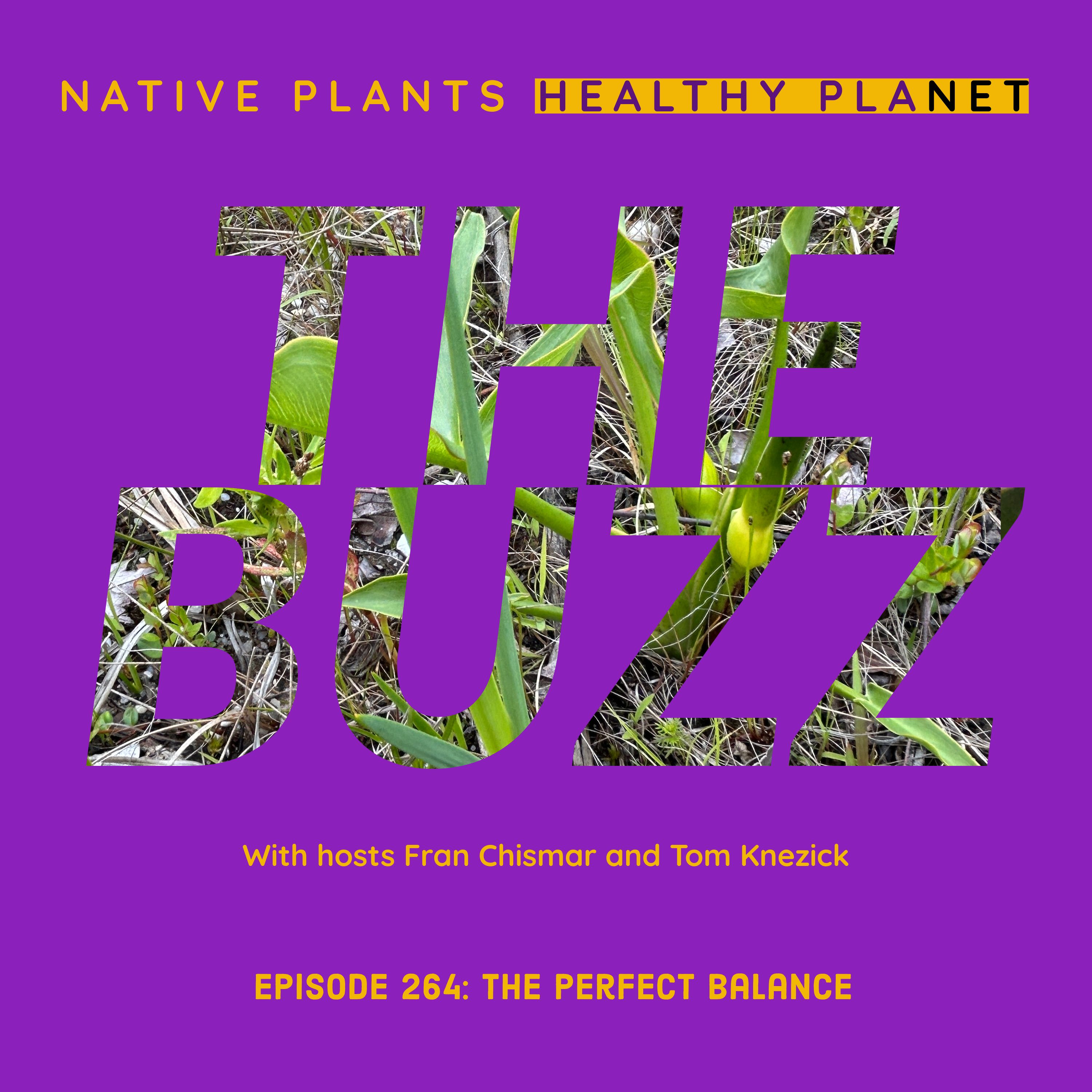 Episode Logo