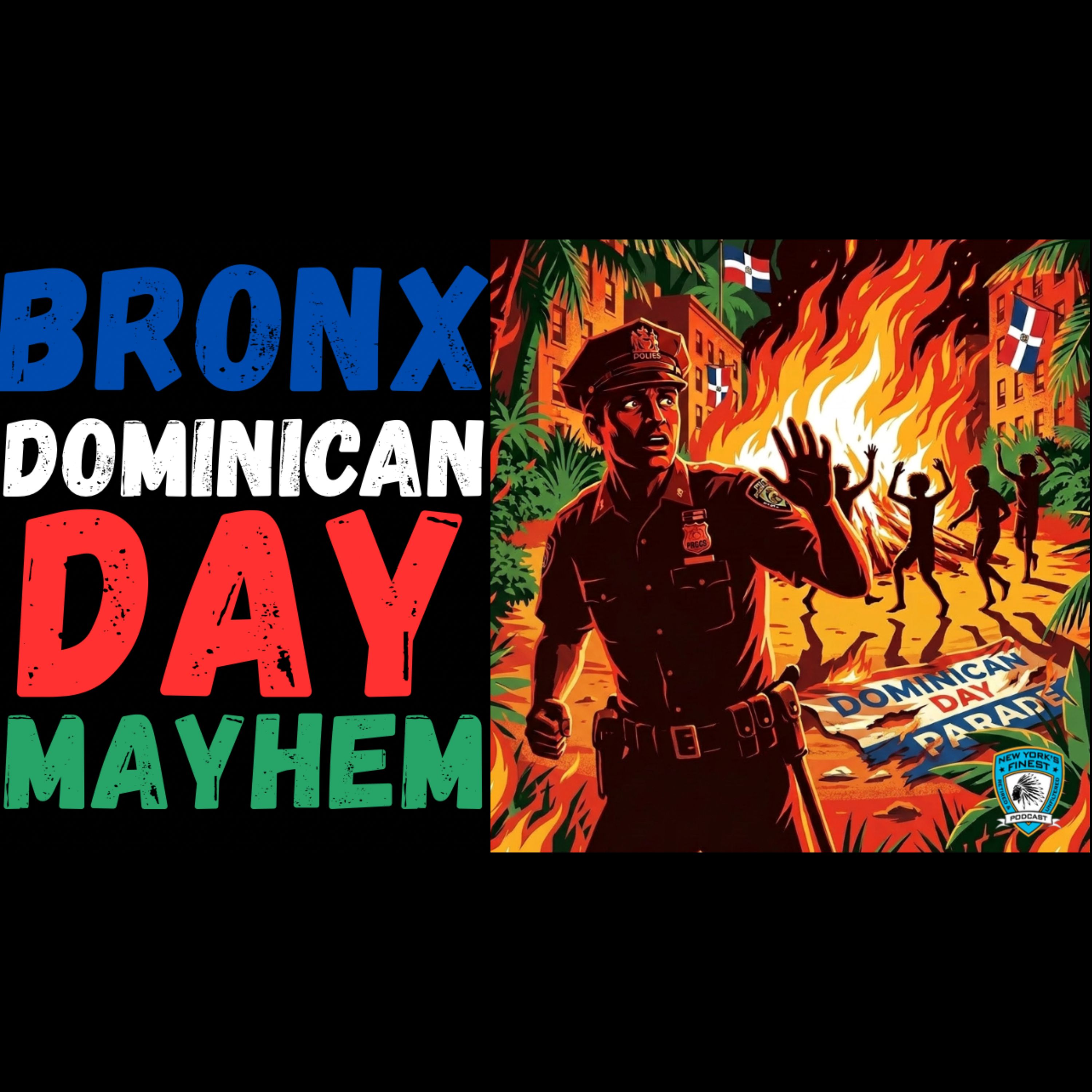 Has the NYPD Lost Control of the Bronx ? episode artwork
