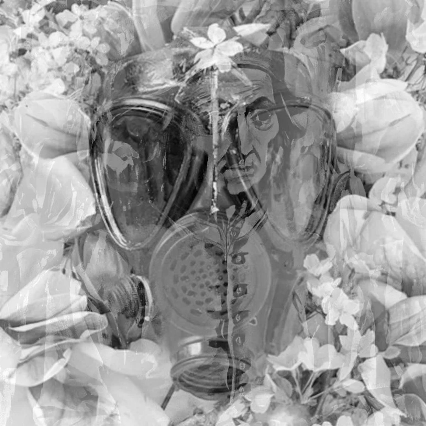 The Dark Room: Garden of Podcast Delights with MJ Dorian