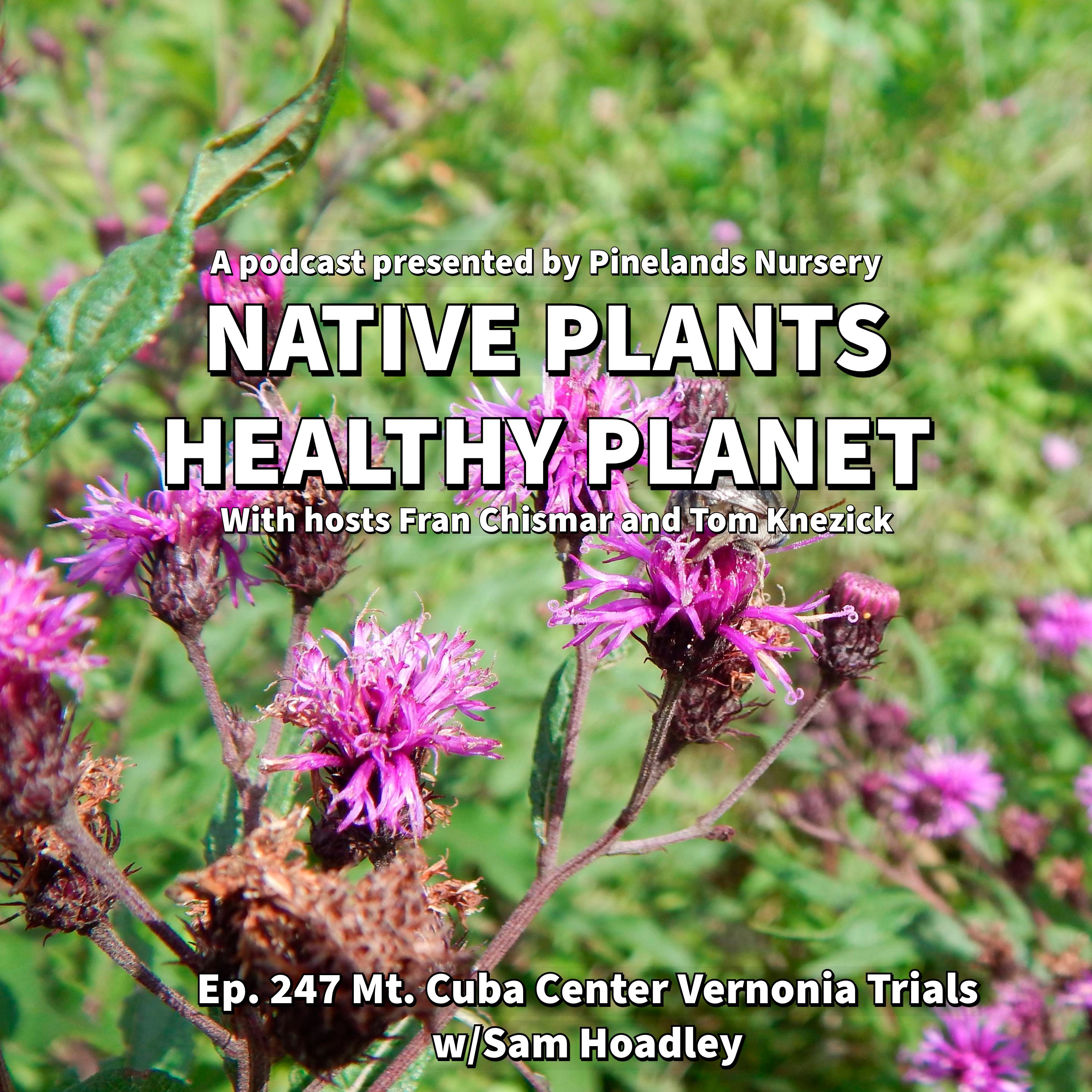 Mt. Cuba Center Vernonia Trials with Sam Hoadley