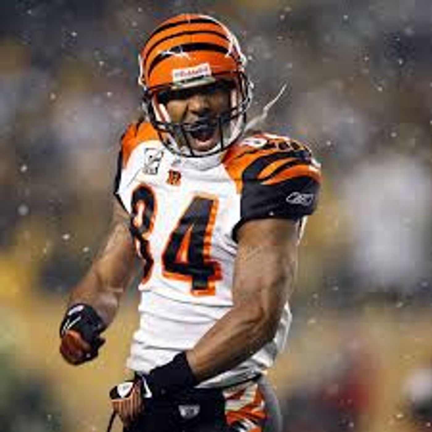 TJ Houshmandzadeh discusses his partnership with Crown Royal and the Bengals' struggles