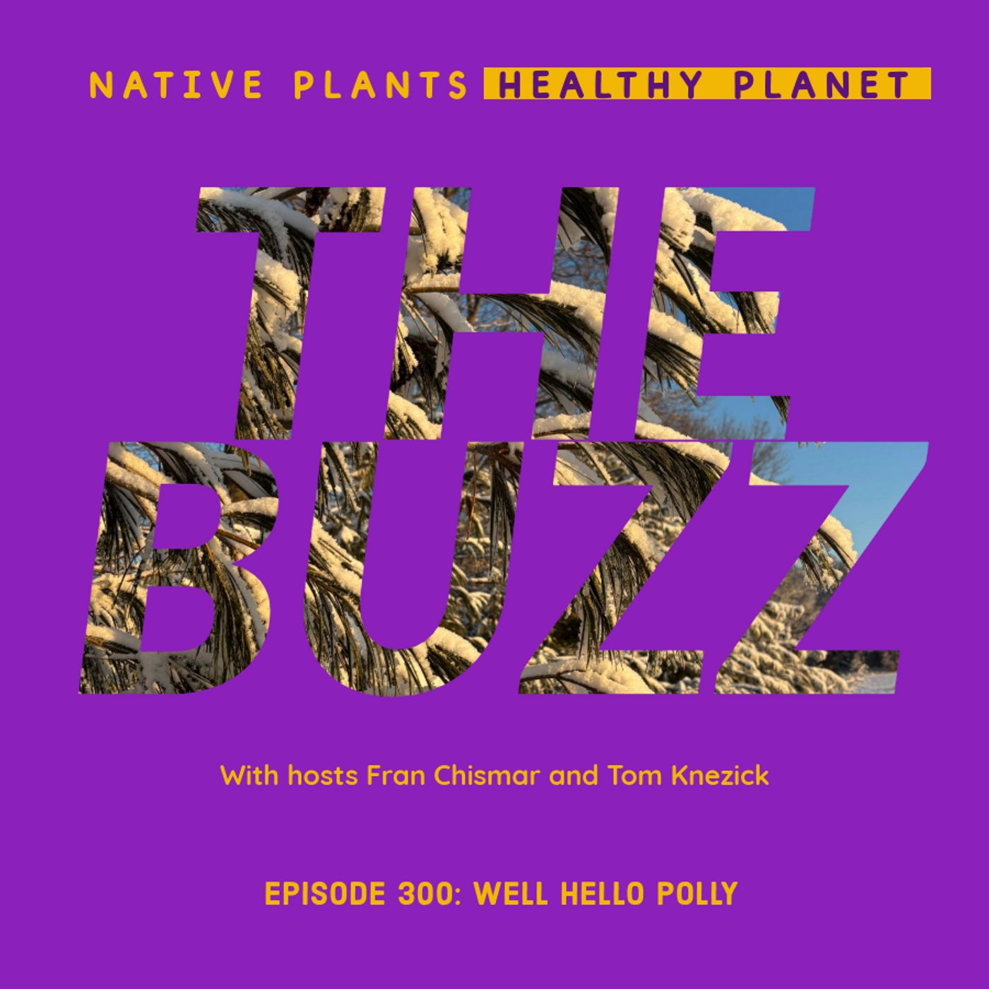 The Buzz - Well Hello Polly