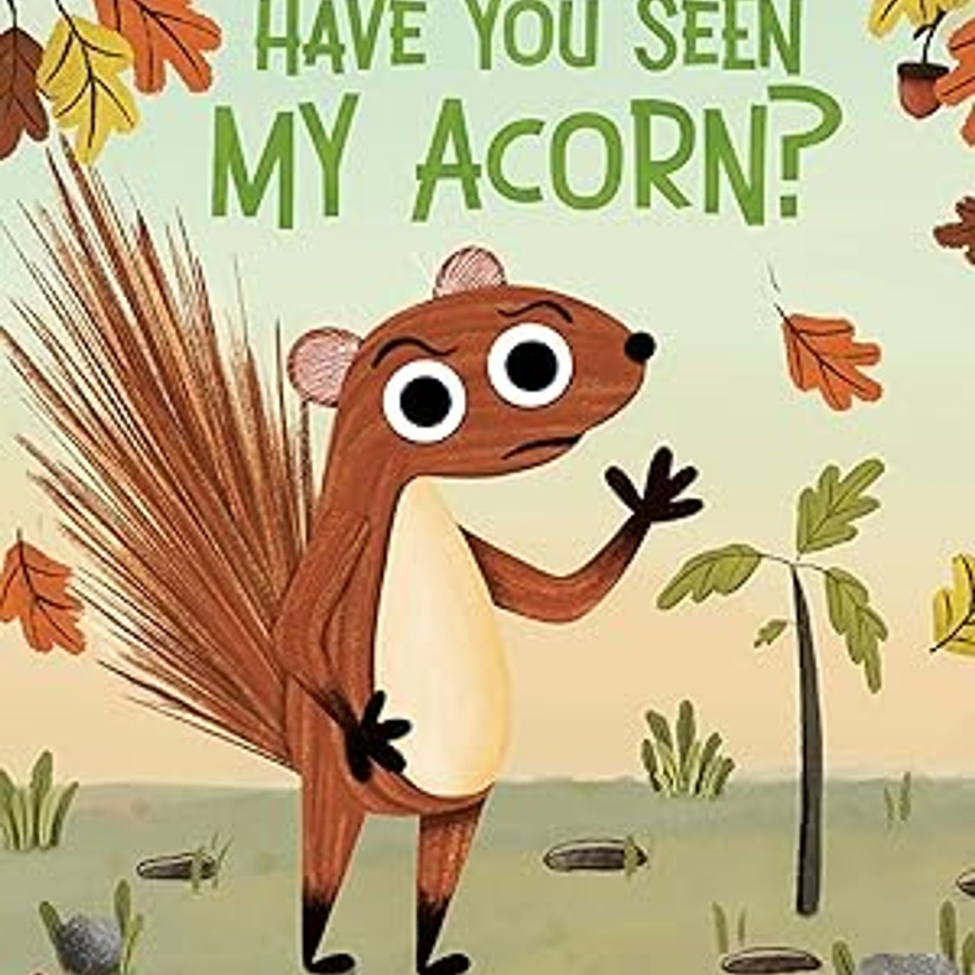 Have You Seen My Acorn?