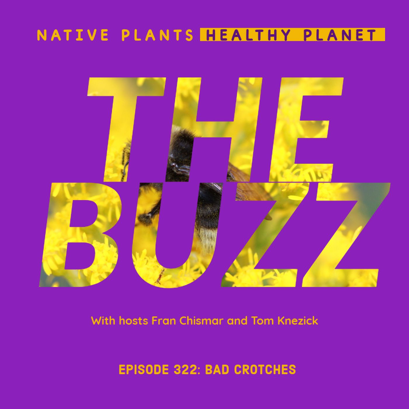 The Buzz - Bad Crotches episode artwork