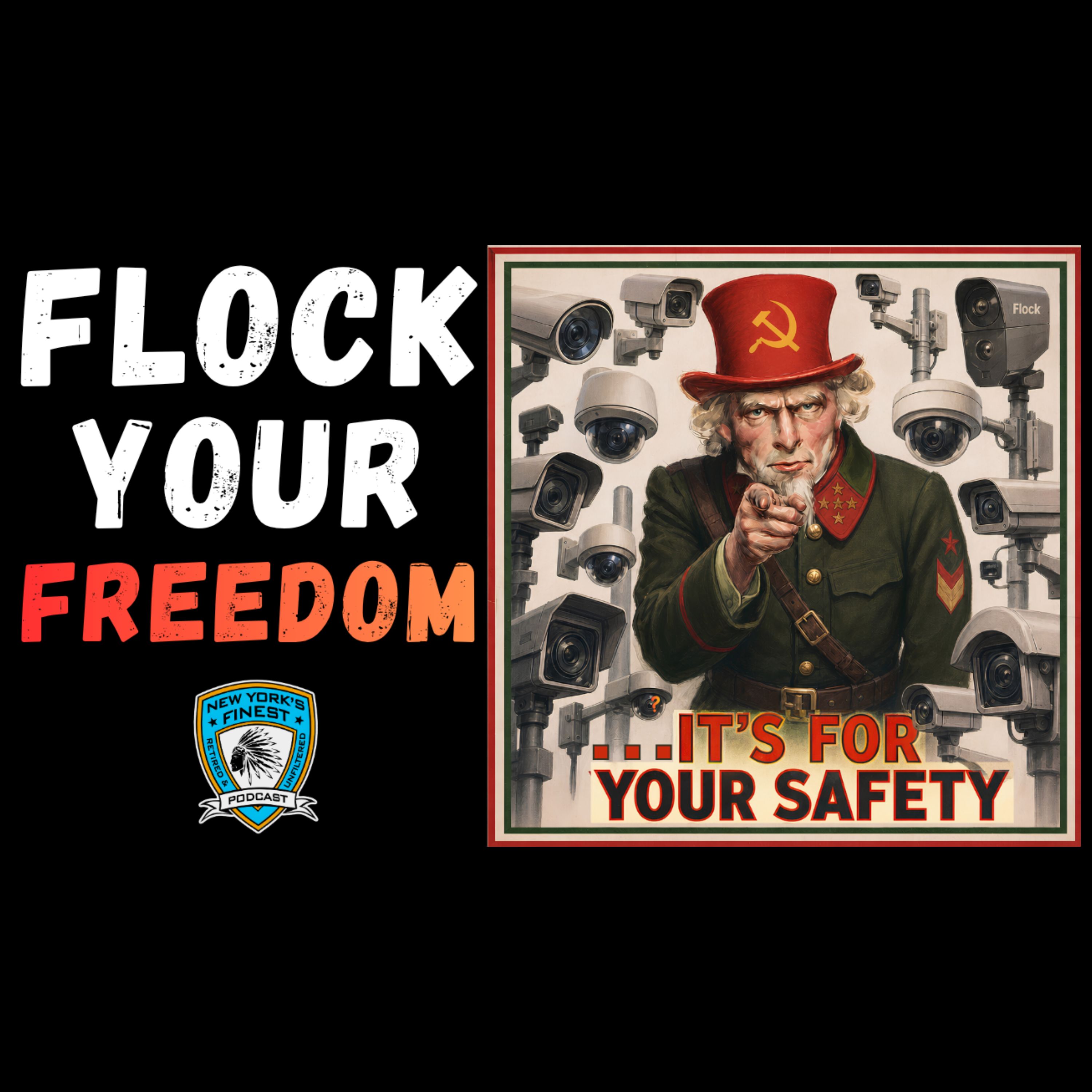 Flock Cameras: Public Safety or Mass Surveillance? episode artwork