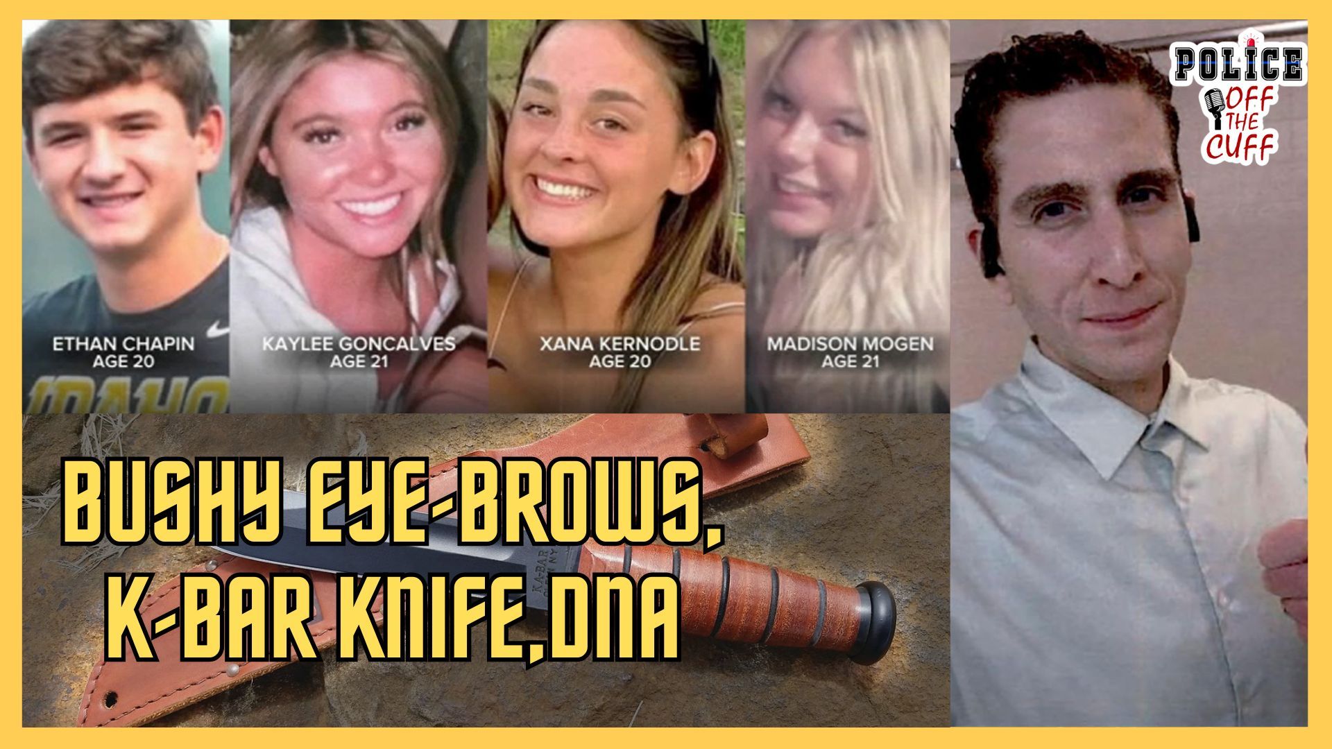 What Is Brian Koberger's Defense Team REALLY Hiding In The Idaho Case.