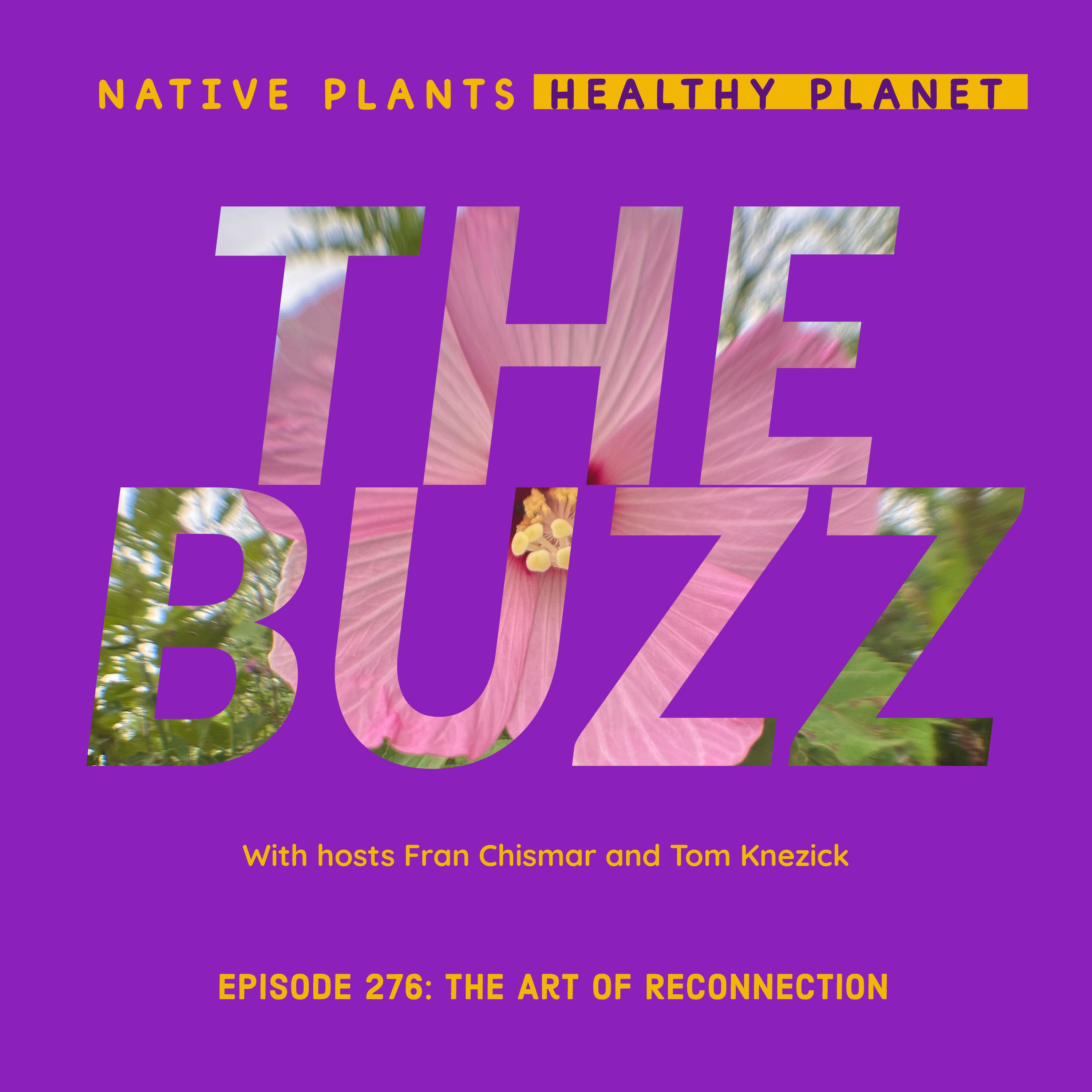 The Buzz - The Art of Reconnection