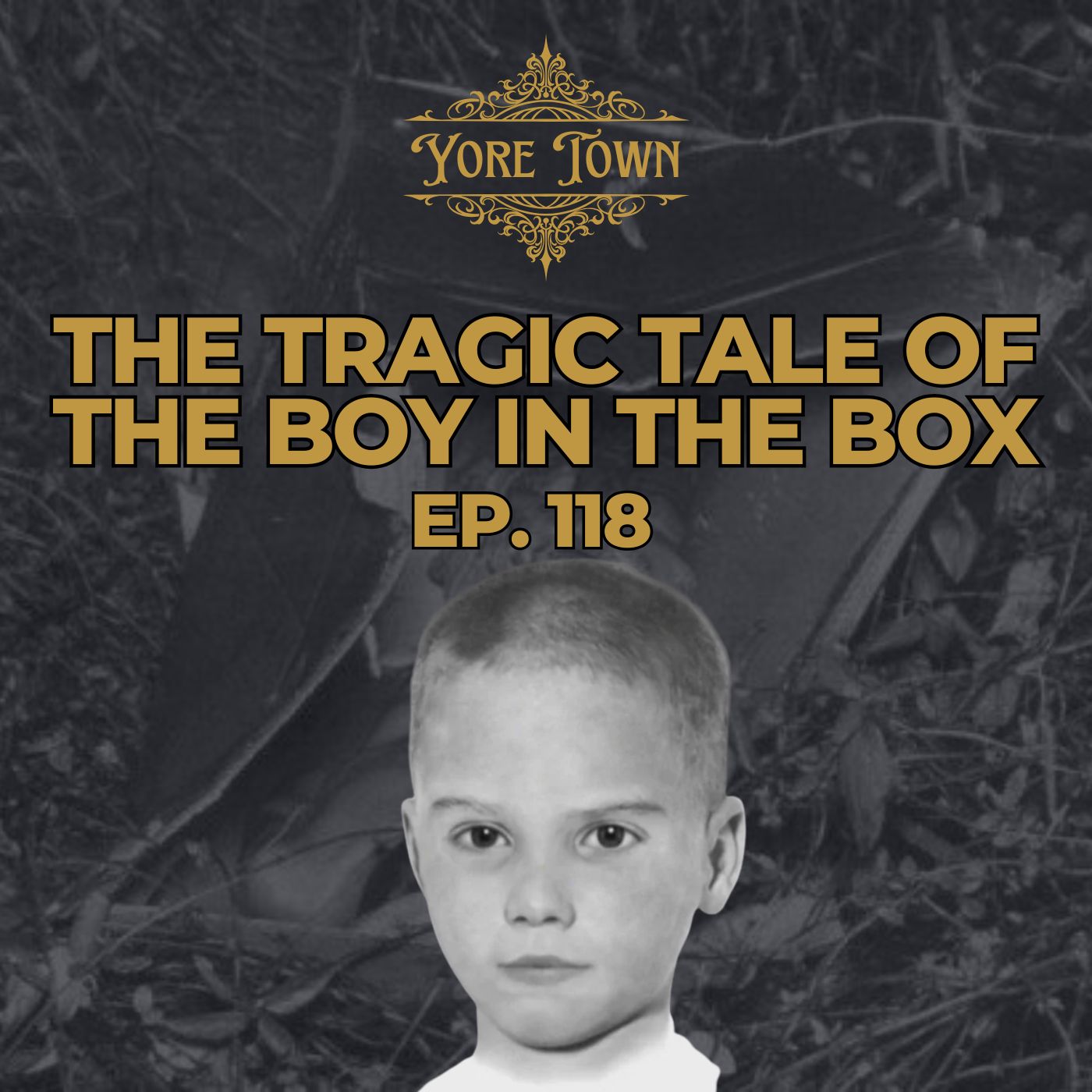 The Boy in the Box: Unmasking America's Unknown Child (Philly Cold Case)