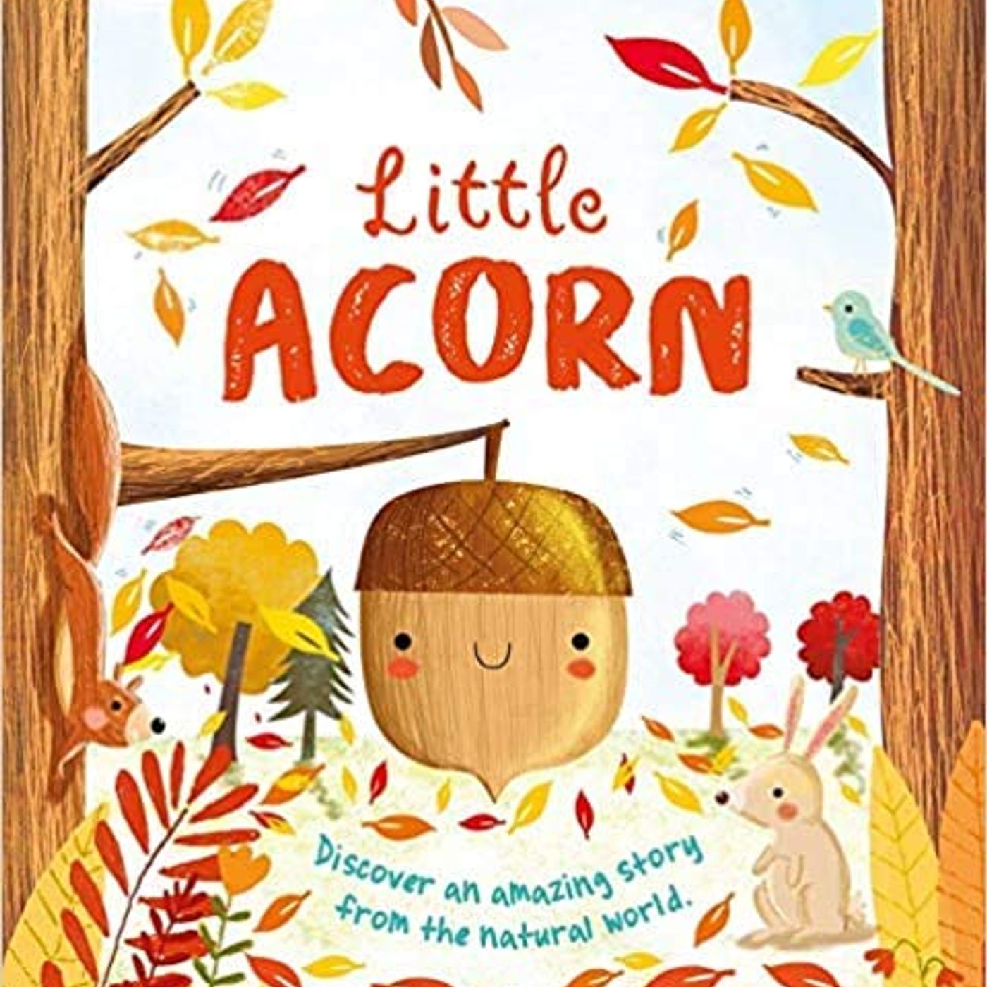 Little Acorn