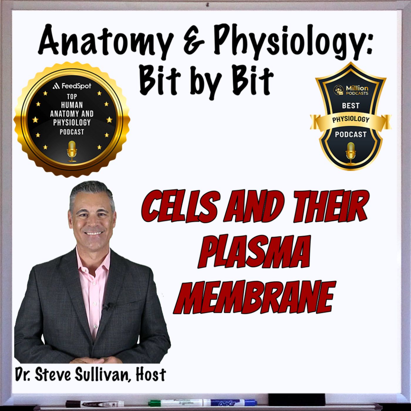 REBOOT: Cells and Their Plasma Membrane: Episode 3