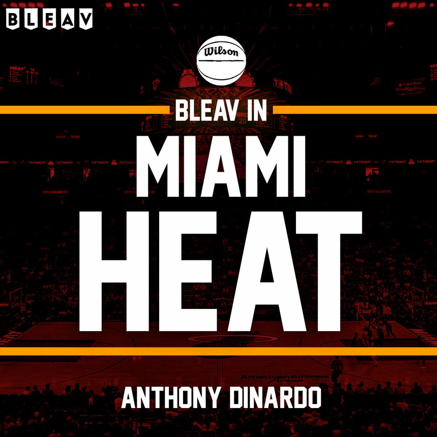 Bleav in Miami Heat