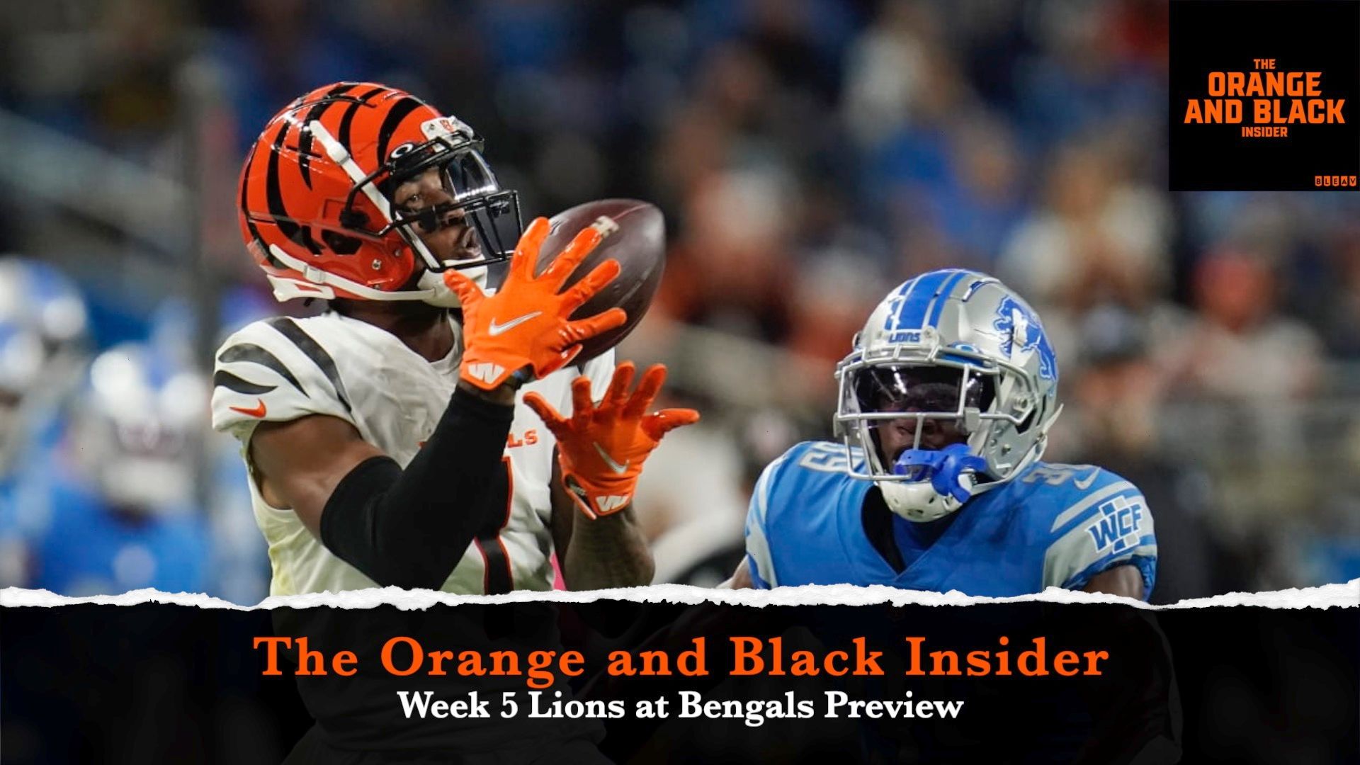 Lions at Bengals Preview: The Orange and Black Insider