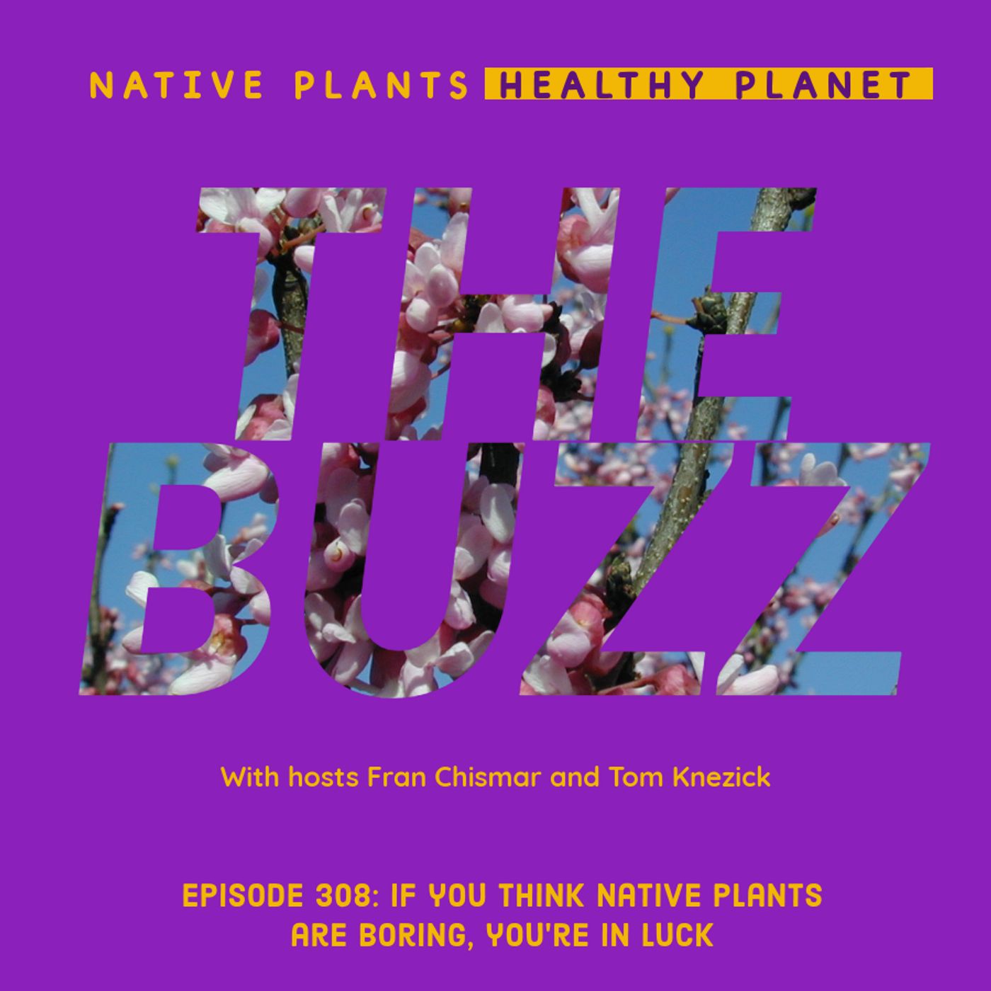 The Buzz - If You Think Native Plants are Boring, You're in Luck!