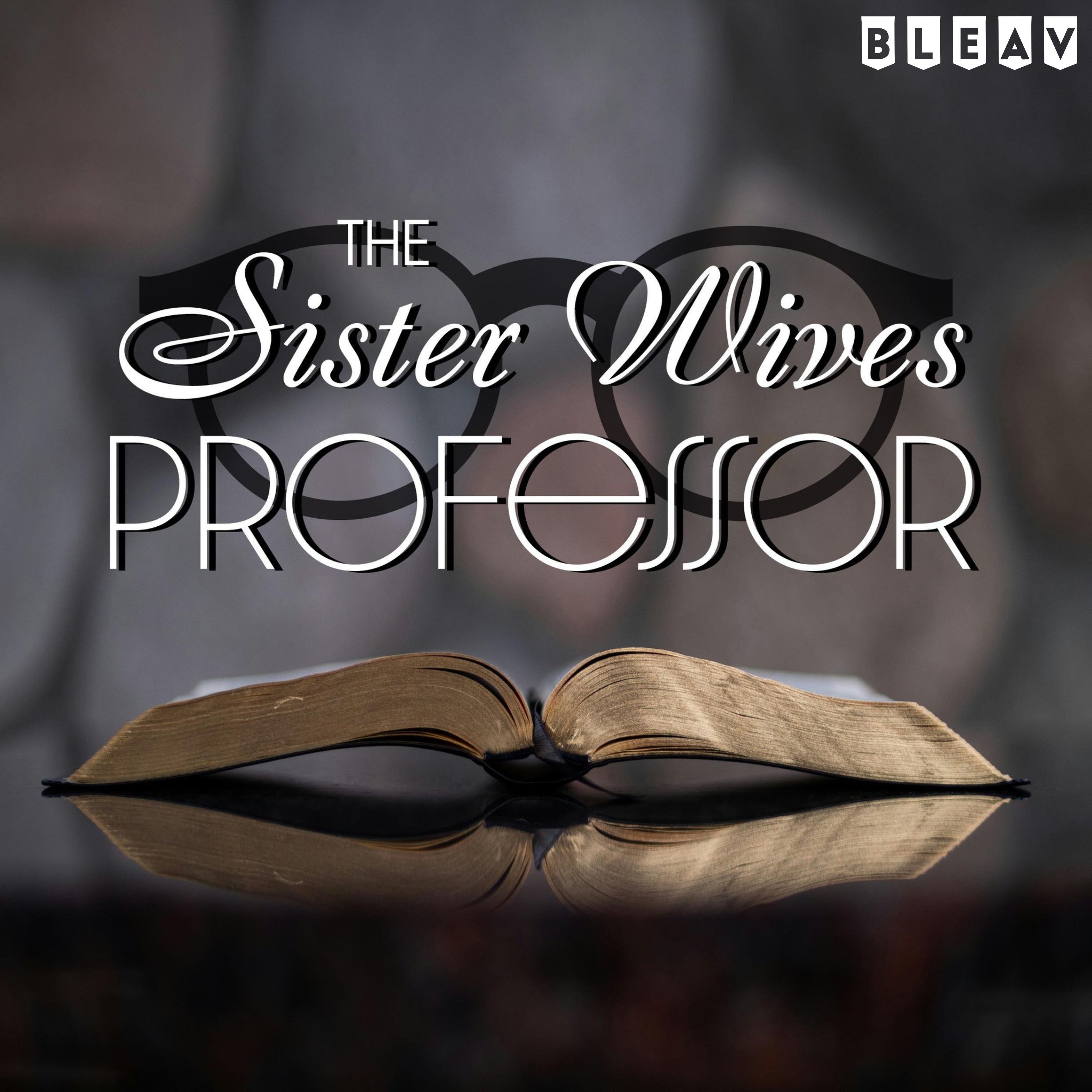 The Sister Wives Professor Artwork
