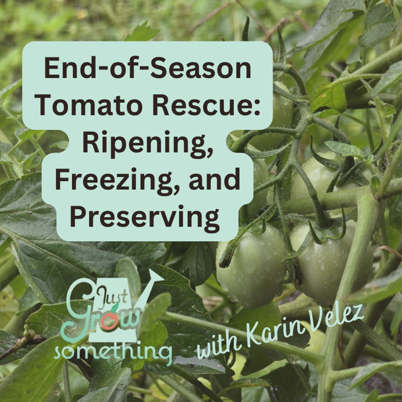 End-of-Season Tomato Rescue: Ripening, Freezing, and Preserving - Ep. 319 episode artwork