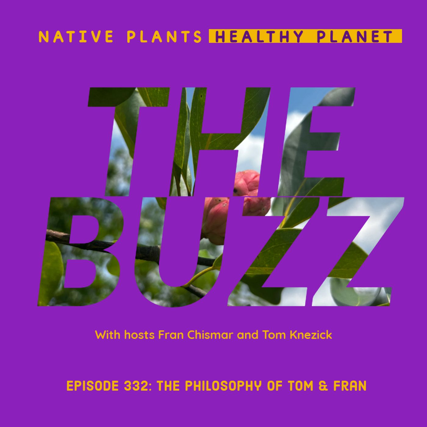 The Buzz - The Philosophy of Tom and Fran episode artwork