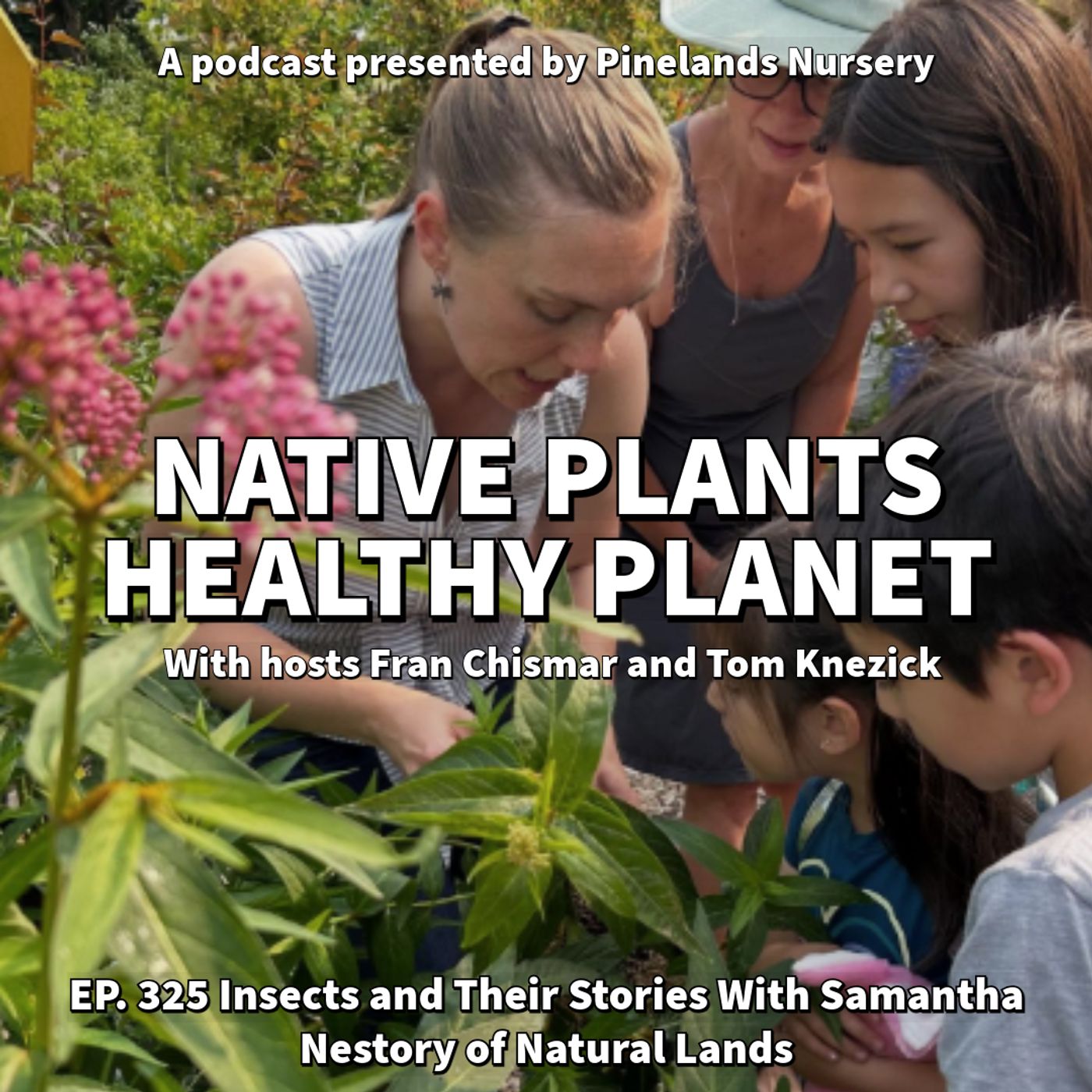 Insects and their Stories with Samantha Nestory of Natural Lands