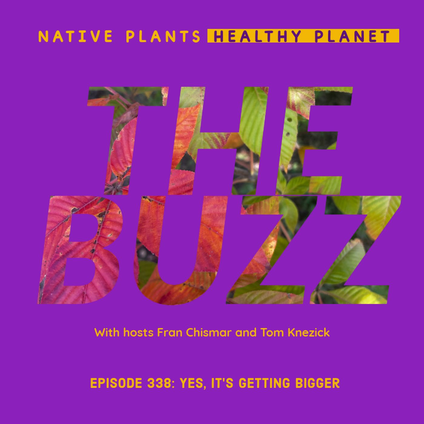 The Buzz - Yes, It's Getting Bigger!