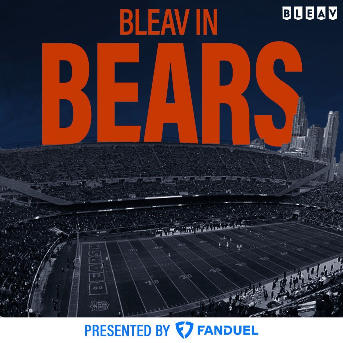 Bleav in Bears artwork