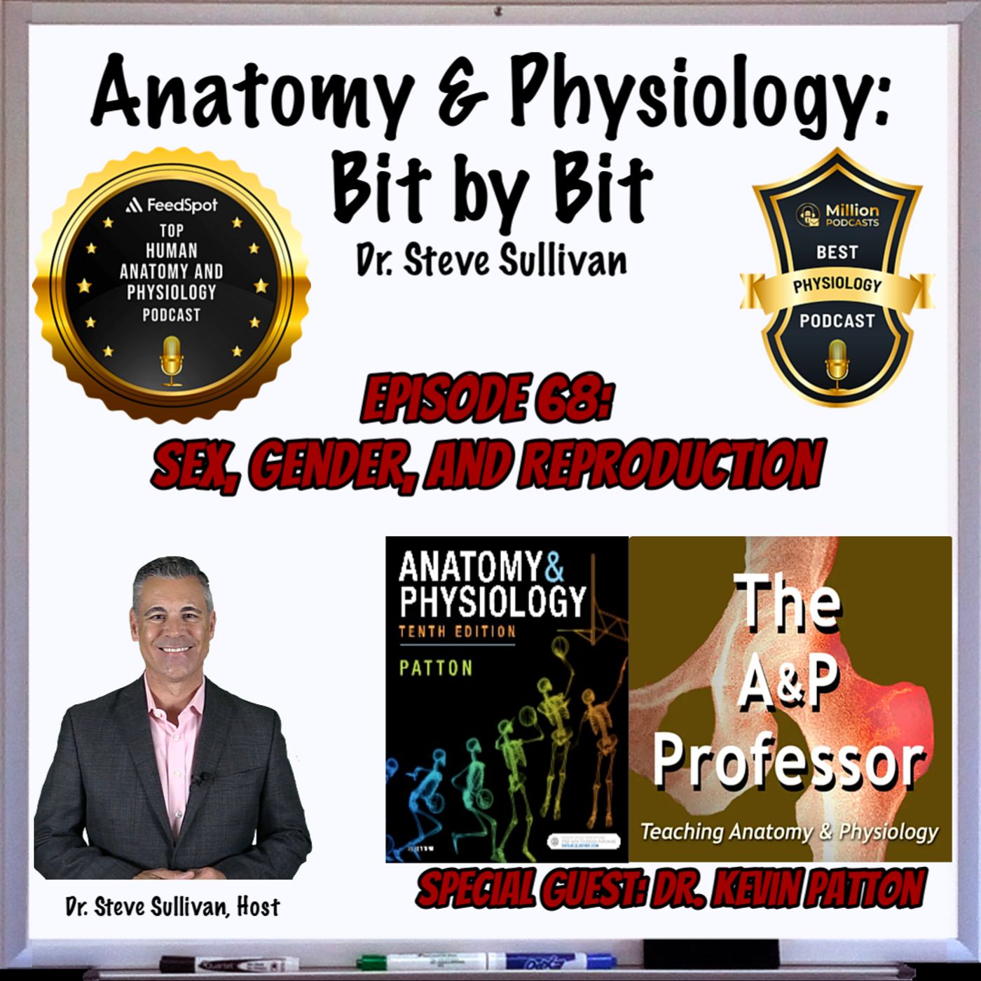 Anatomy and Physiology - Bit by Bit
