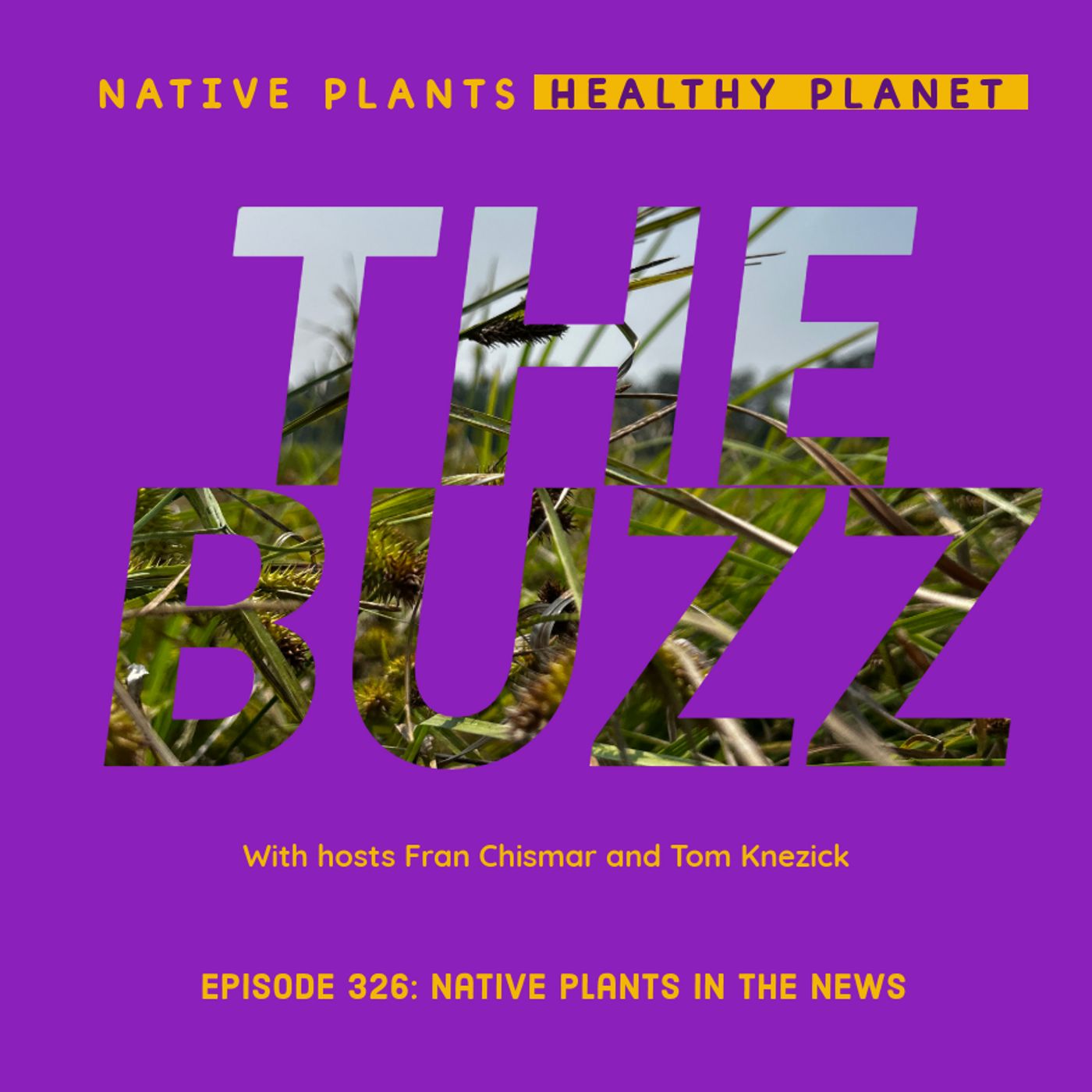 The Buzz - Native Plants in the News