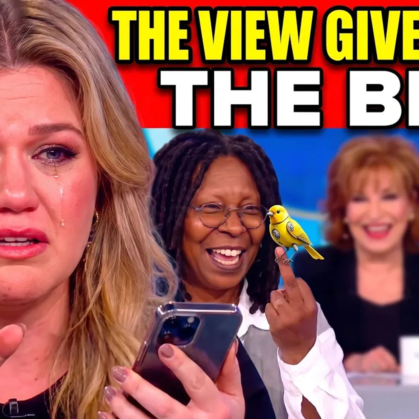 The View Gives Kelly Clarkson THE BIRD...