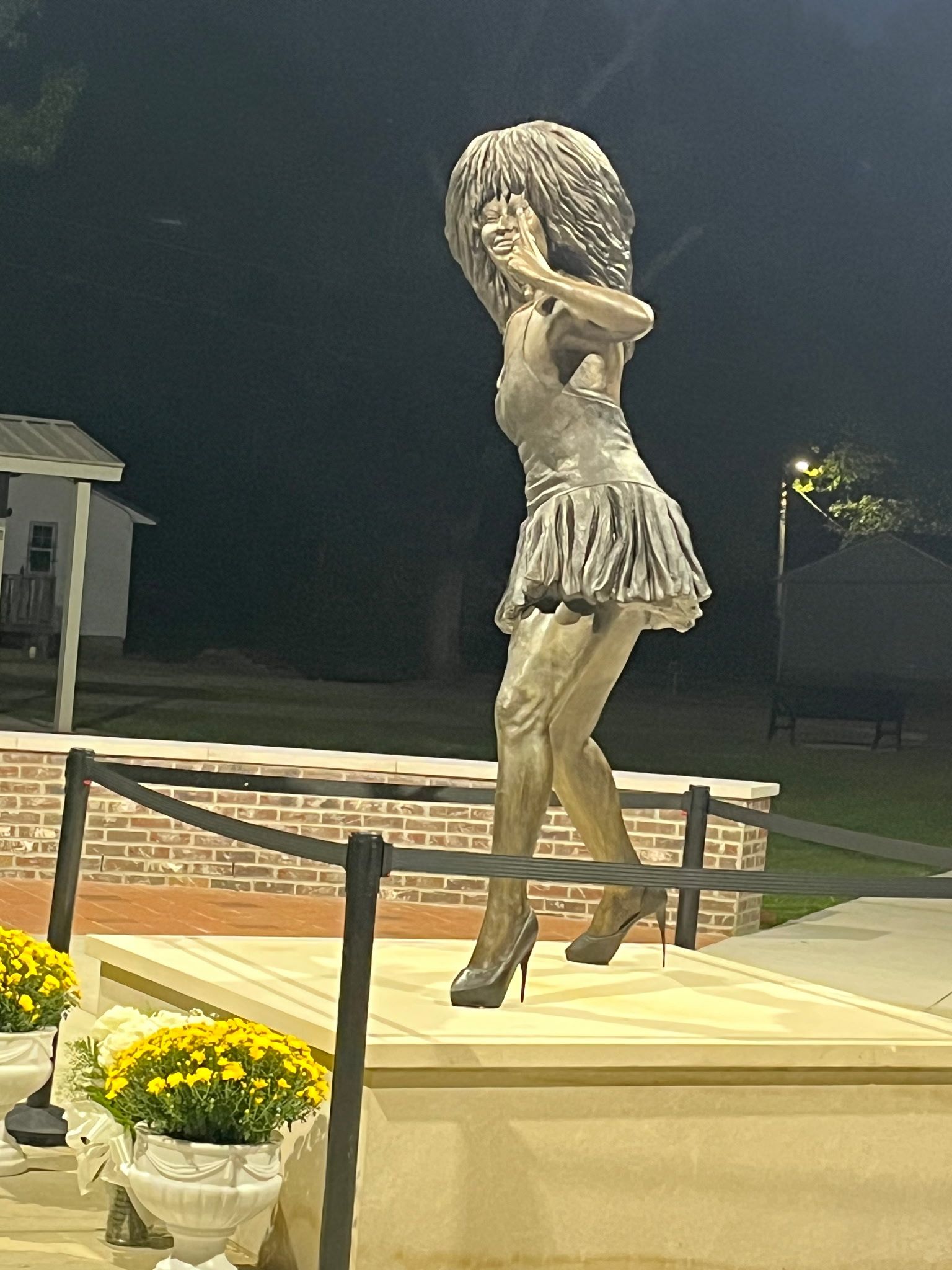 Bronzed Legacy: Sculptor Fred Ajanogha Honors Tina Turner in Stunning New Statue