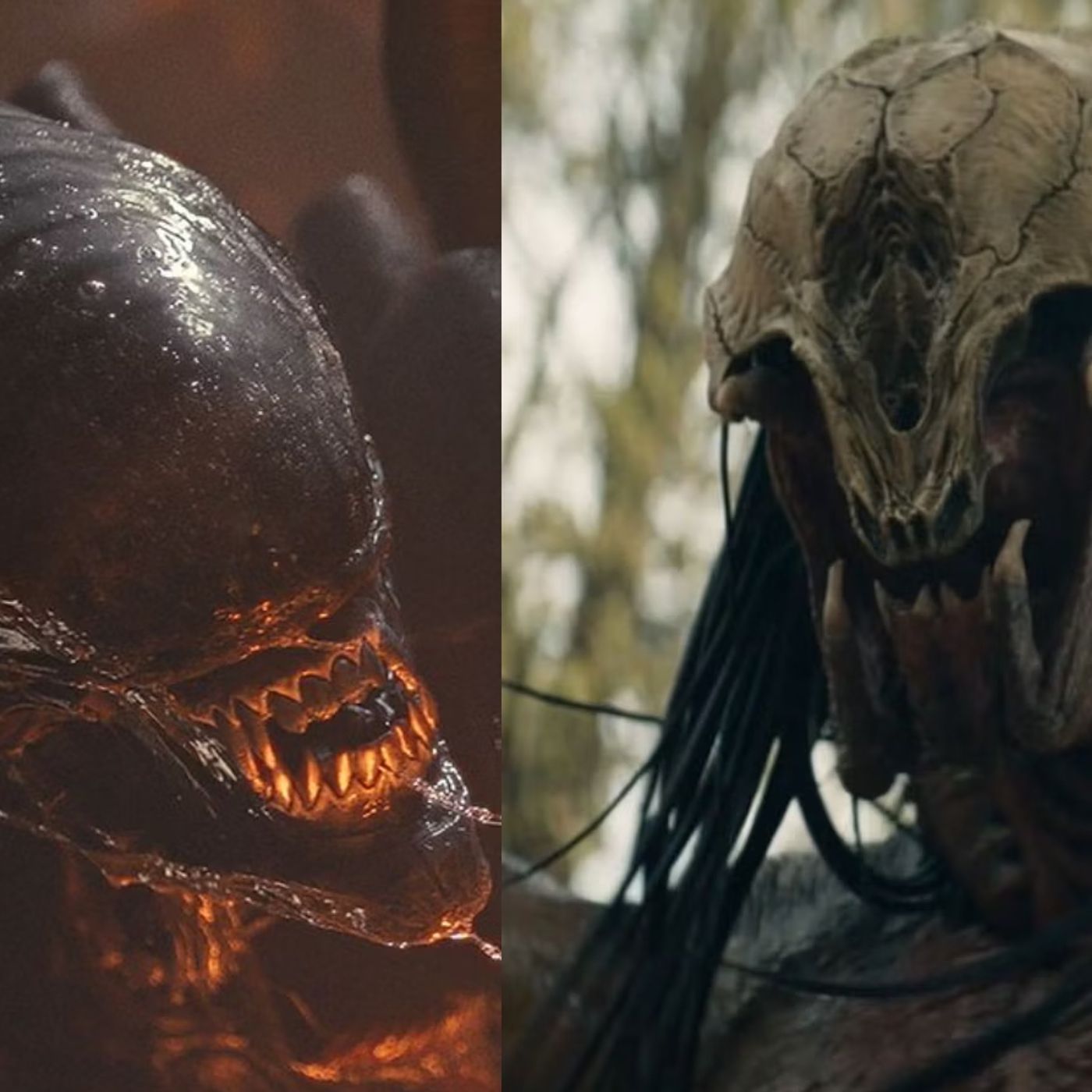 280 // A Predator In An Alien Film