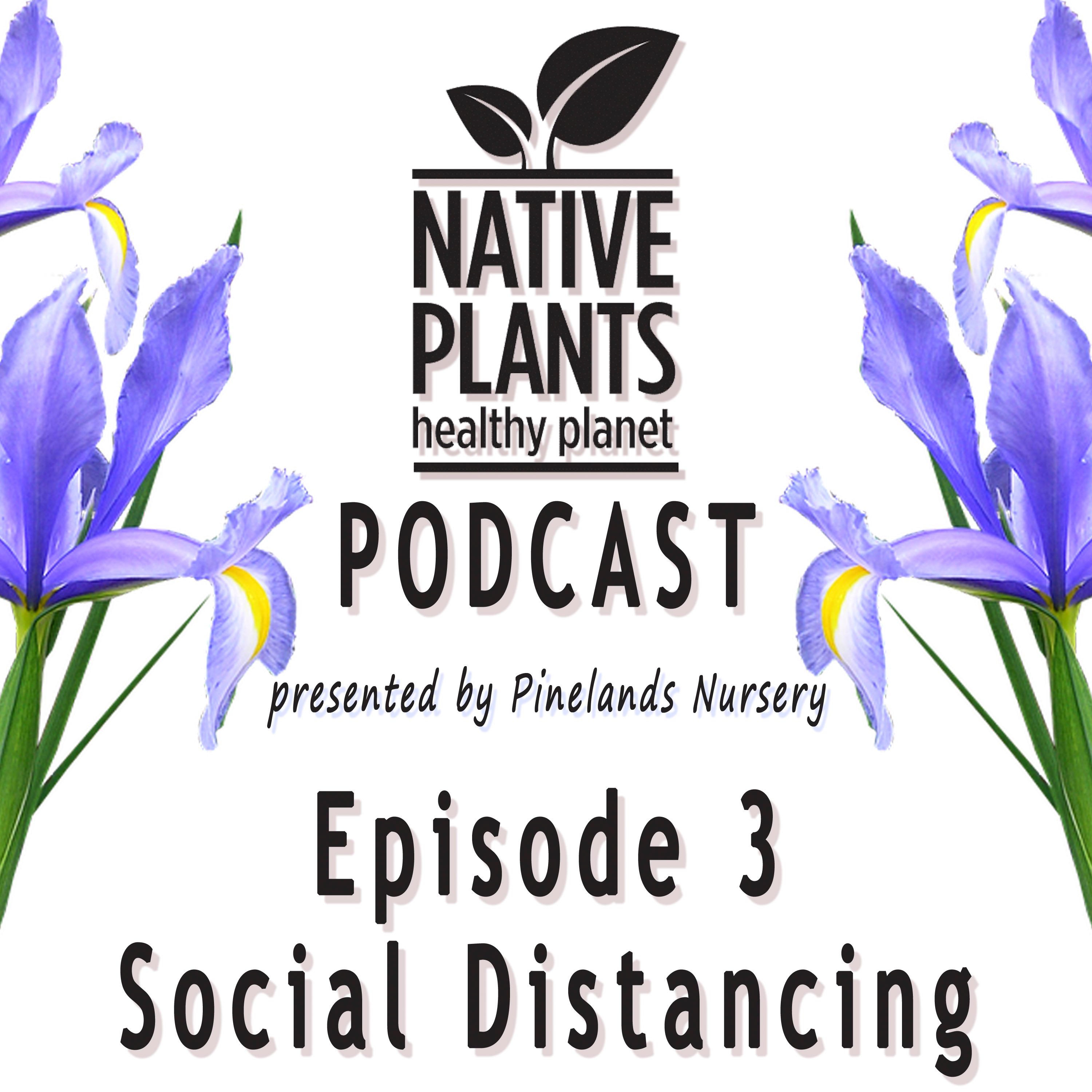The Buzz – Social Distancing