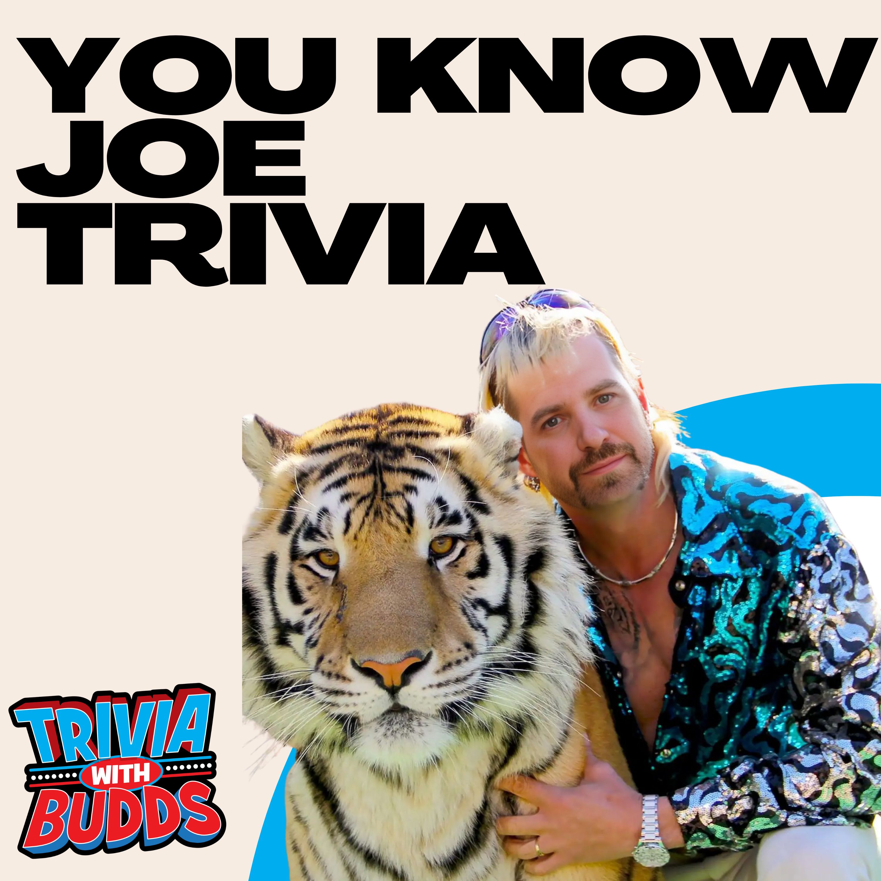 11 Trivia Questions on You Know Joe episode artwork
