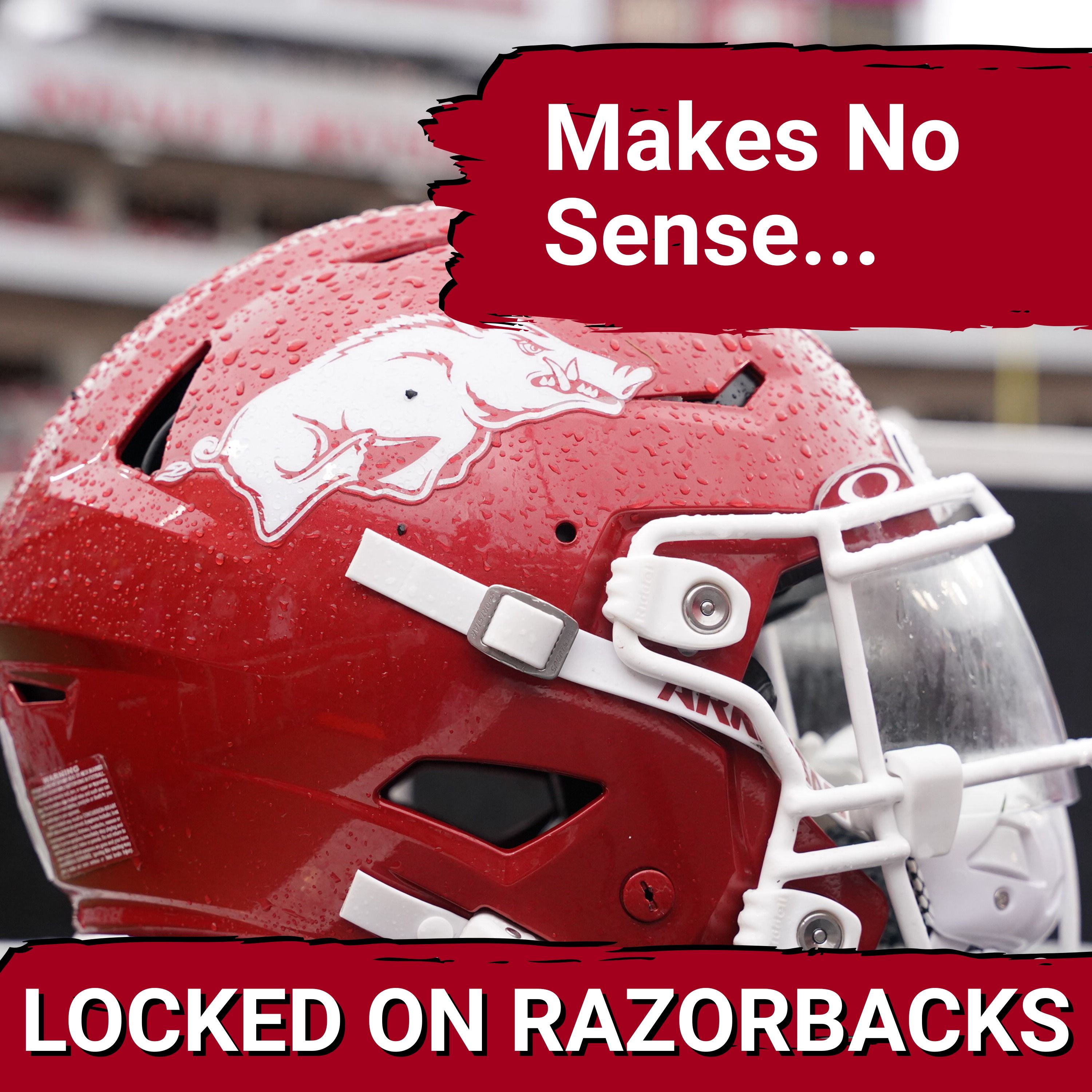Razorbacks Coaching Search DRIVES Fans Wild & There's No Reason For It