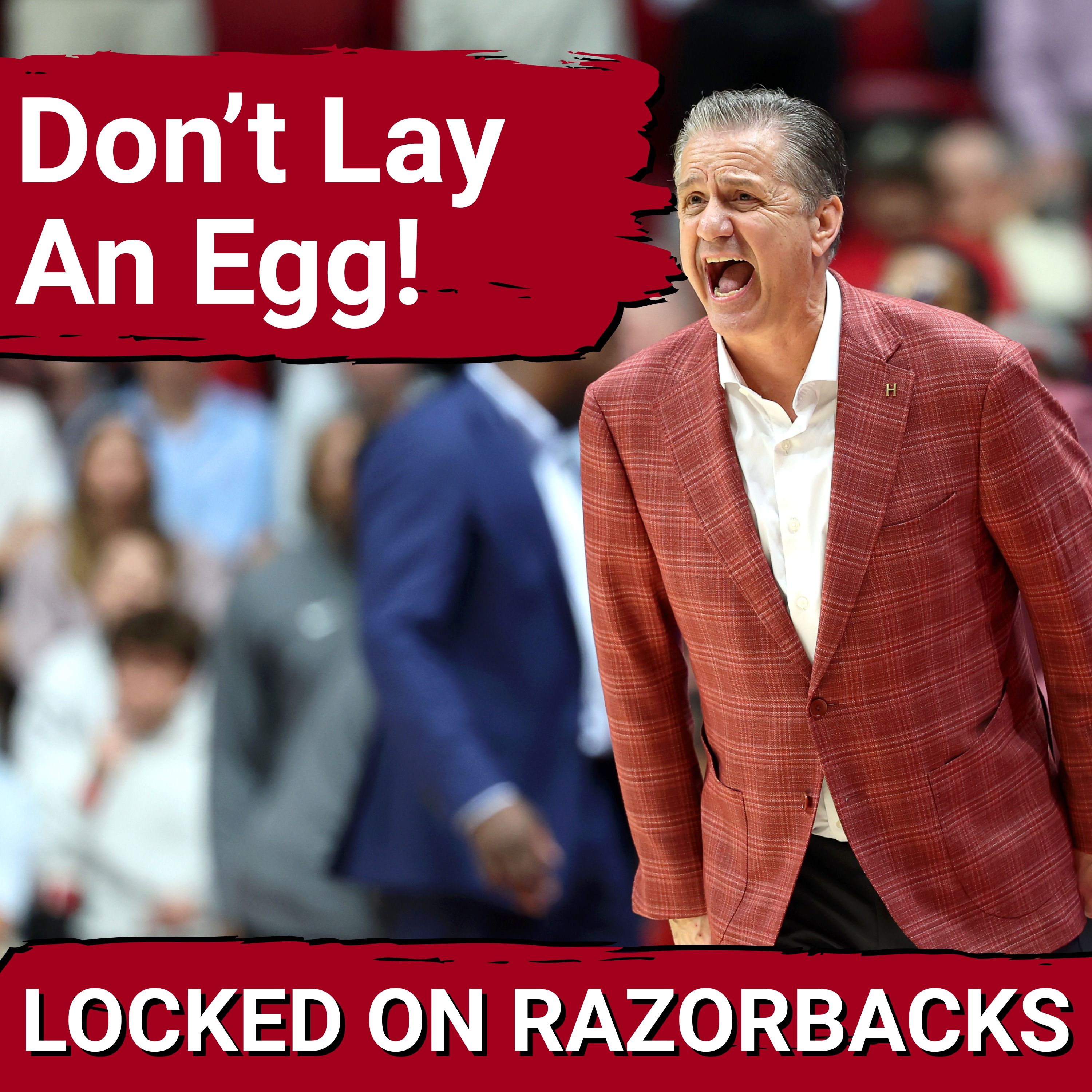 WARNING: Can Darius Acuff and Razorbacks BOUNCE BACK Amid Pressure After Karter Knox News?